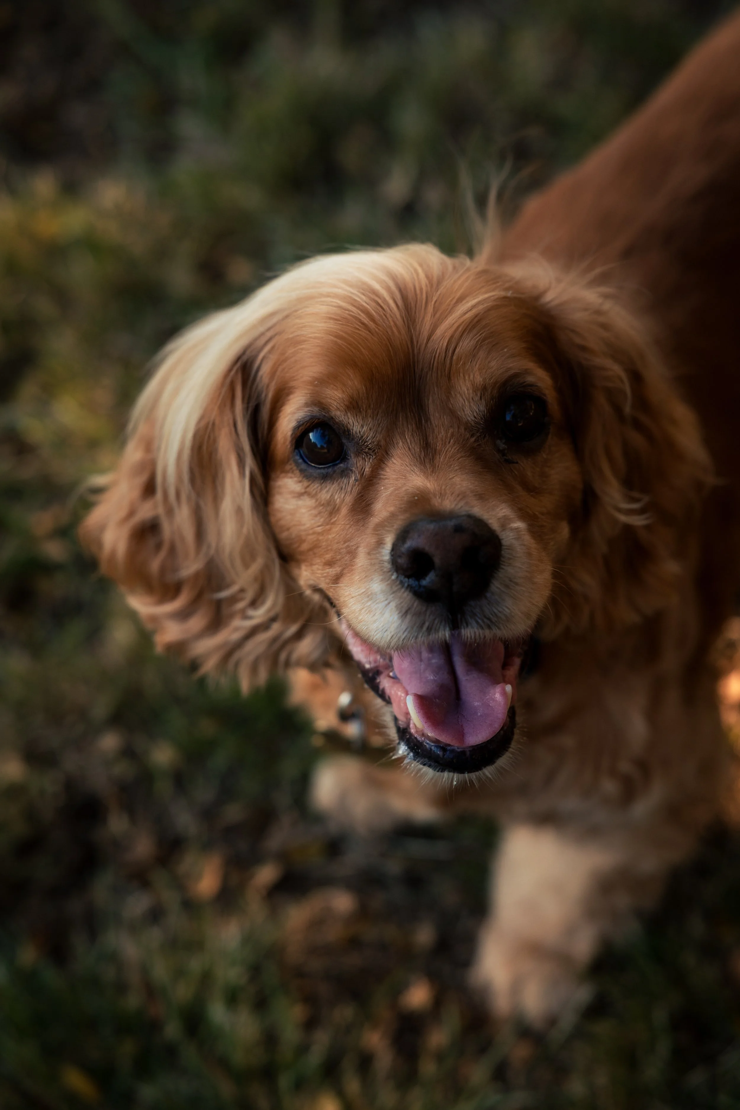 laura costa photography 22.JPG