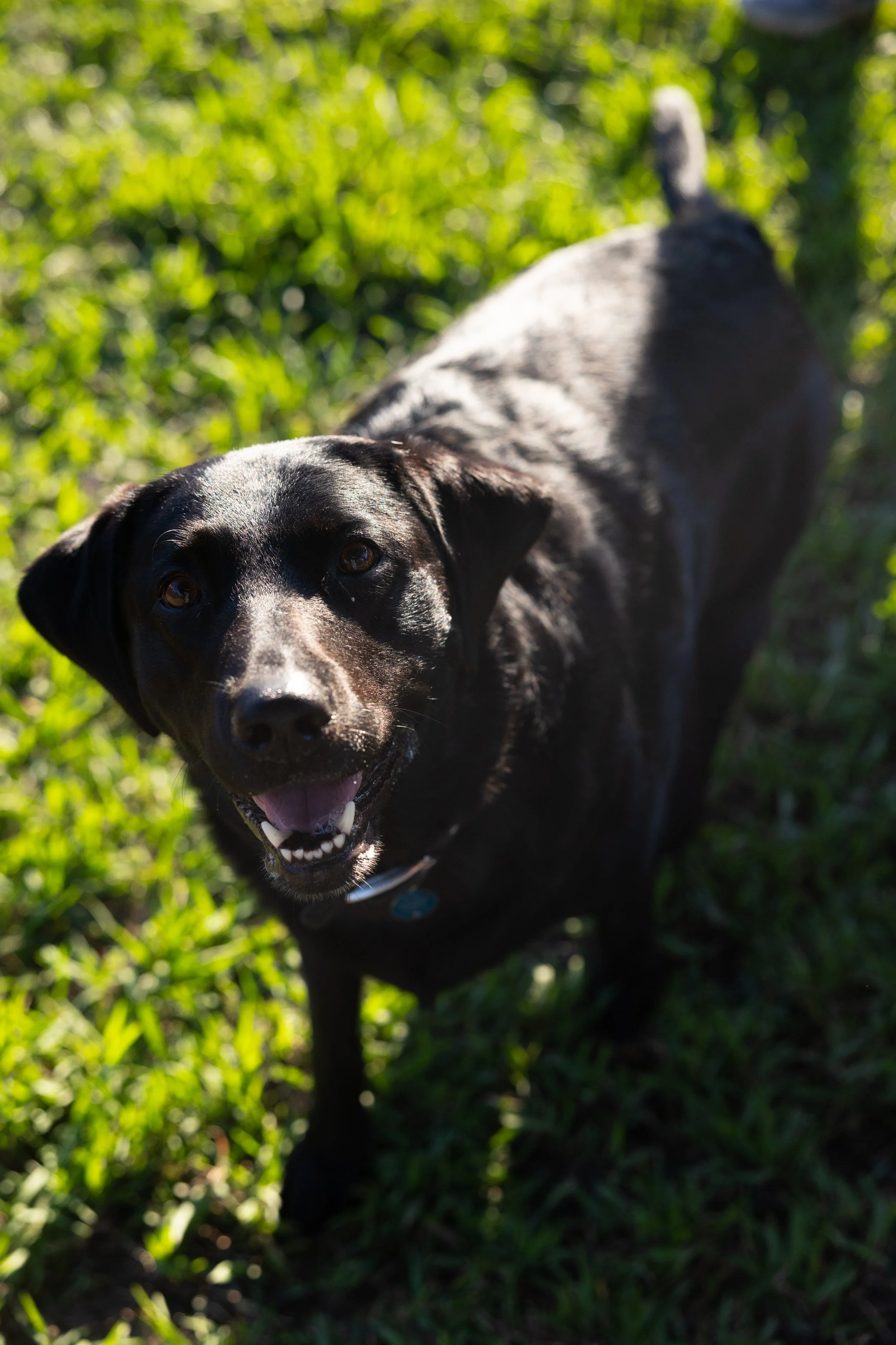 laura costa photography 23.JPG