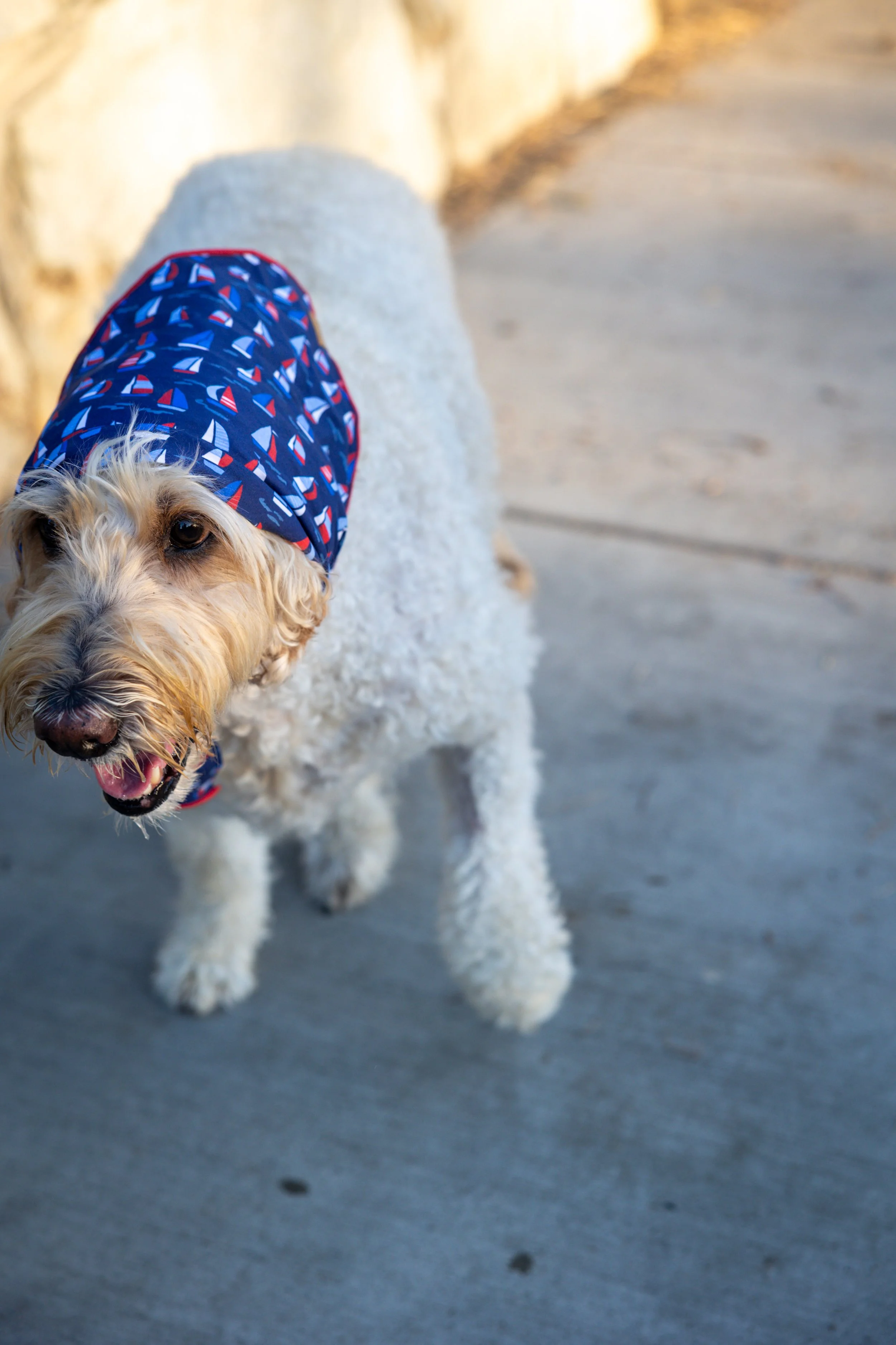 laura costa photography 24.JPG