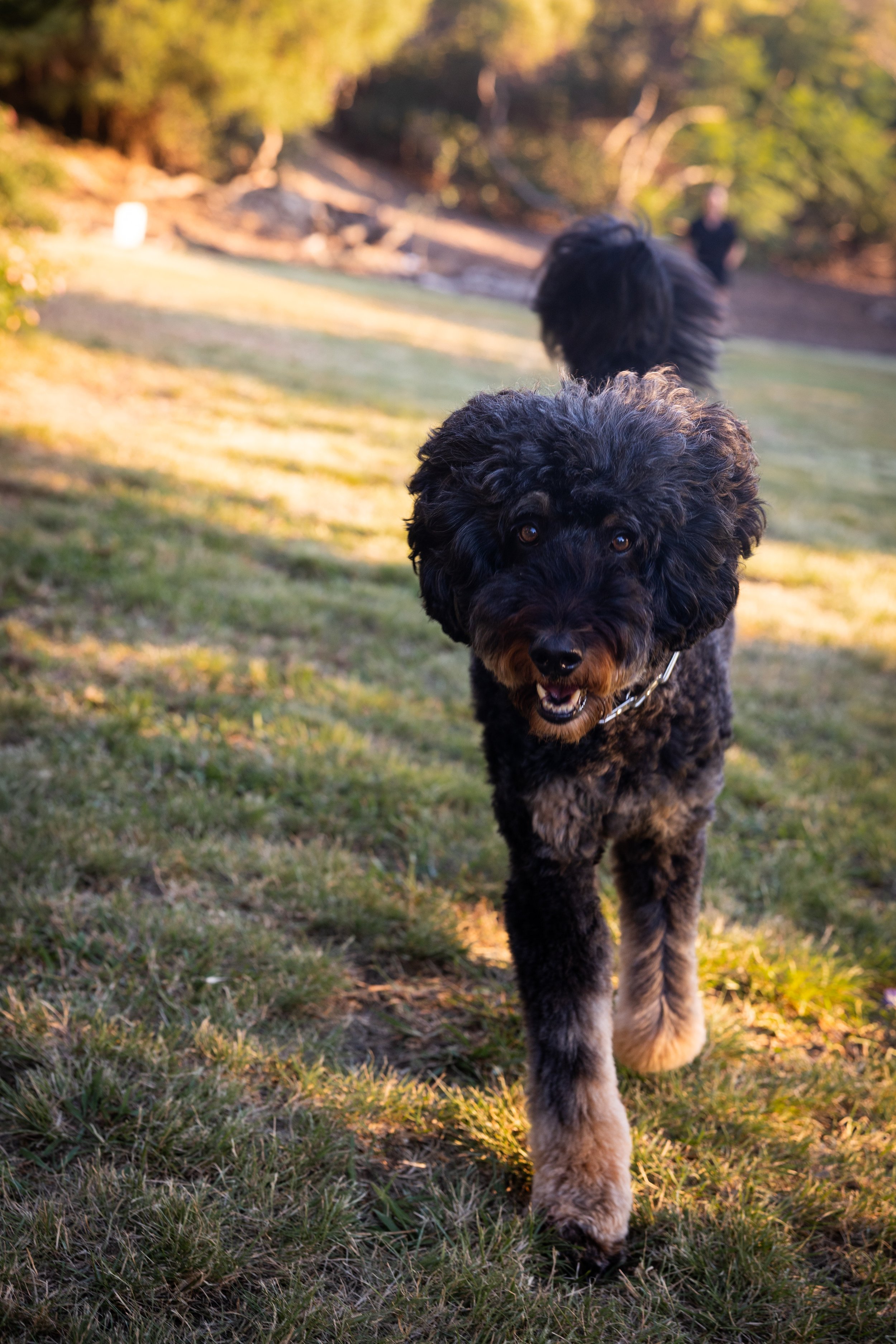 laura costa photography 27.JPG