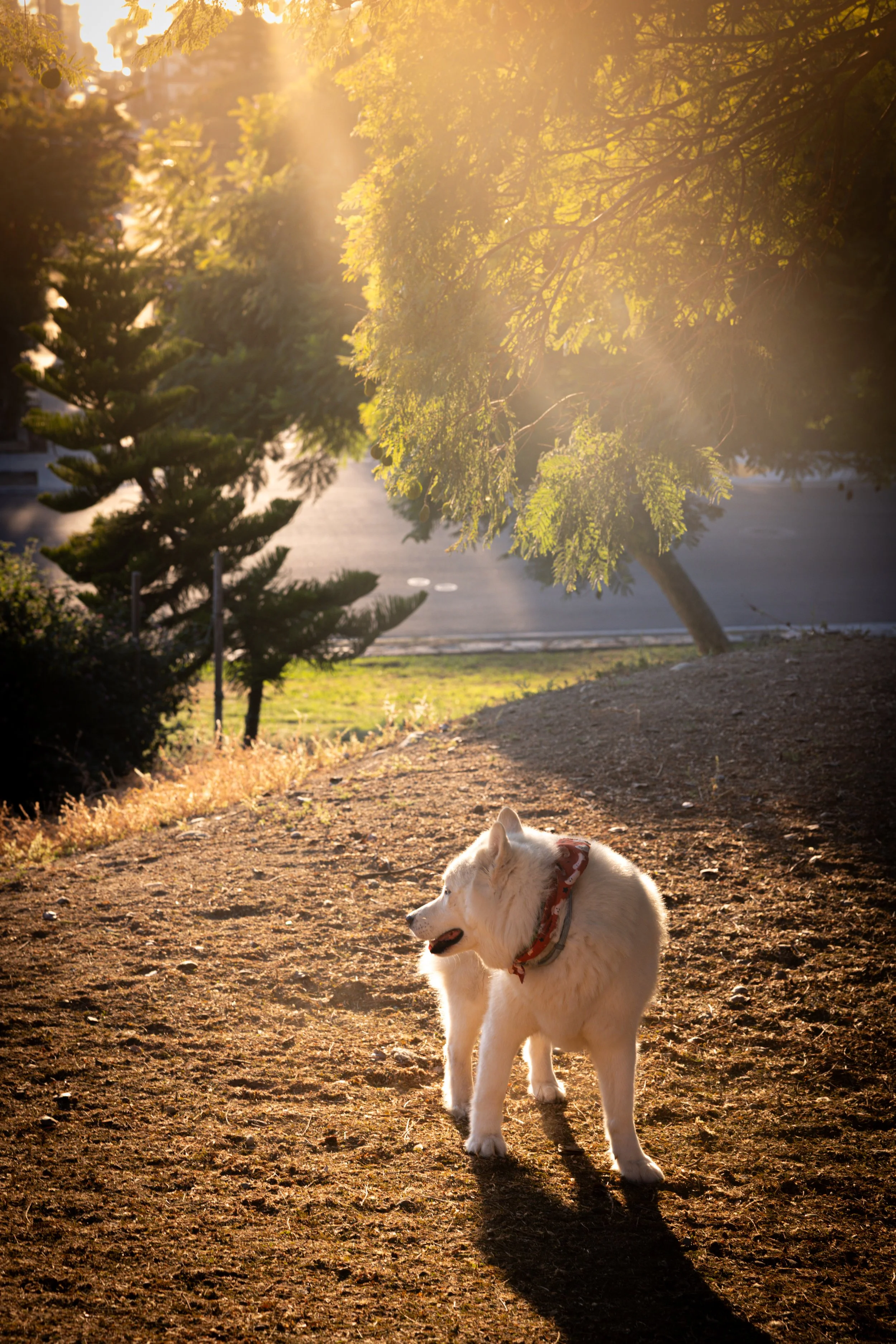 laura costa photography 29.JPG