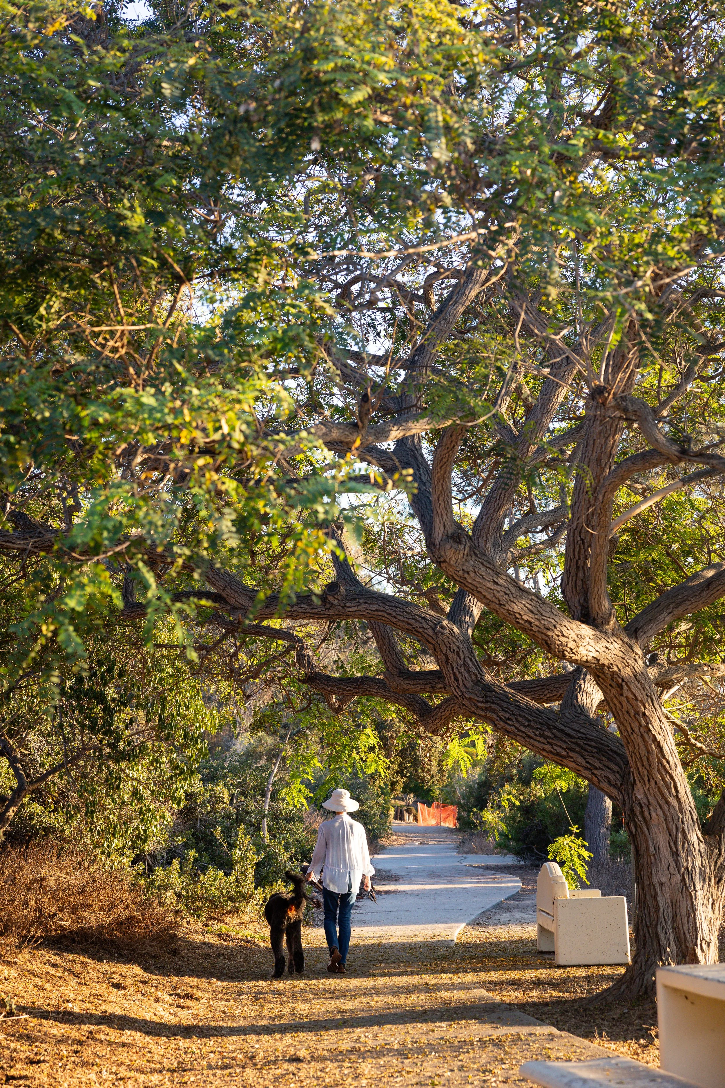 laura costa photography 31.JPG