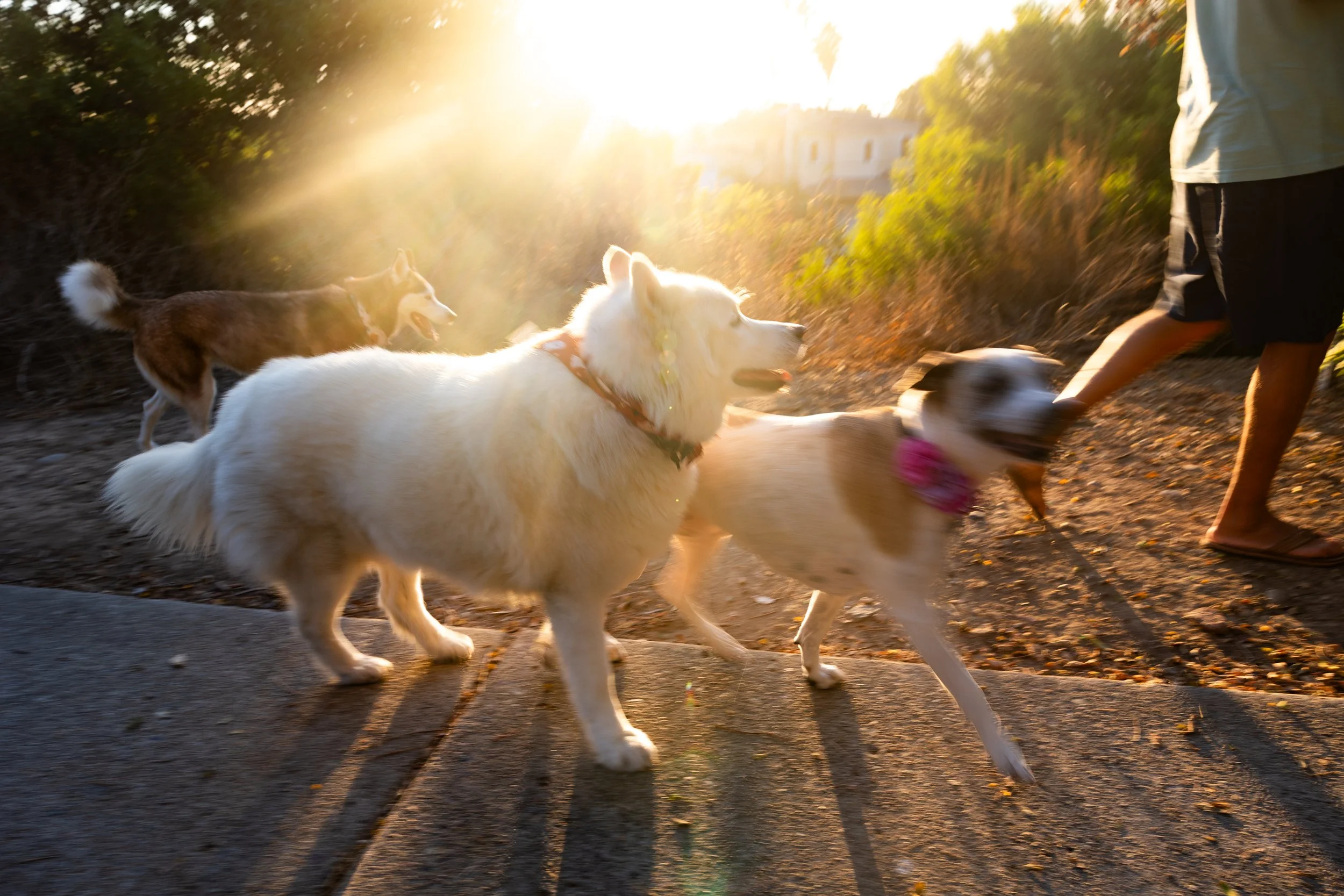 laura costa photography 42.JPG