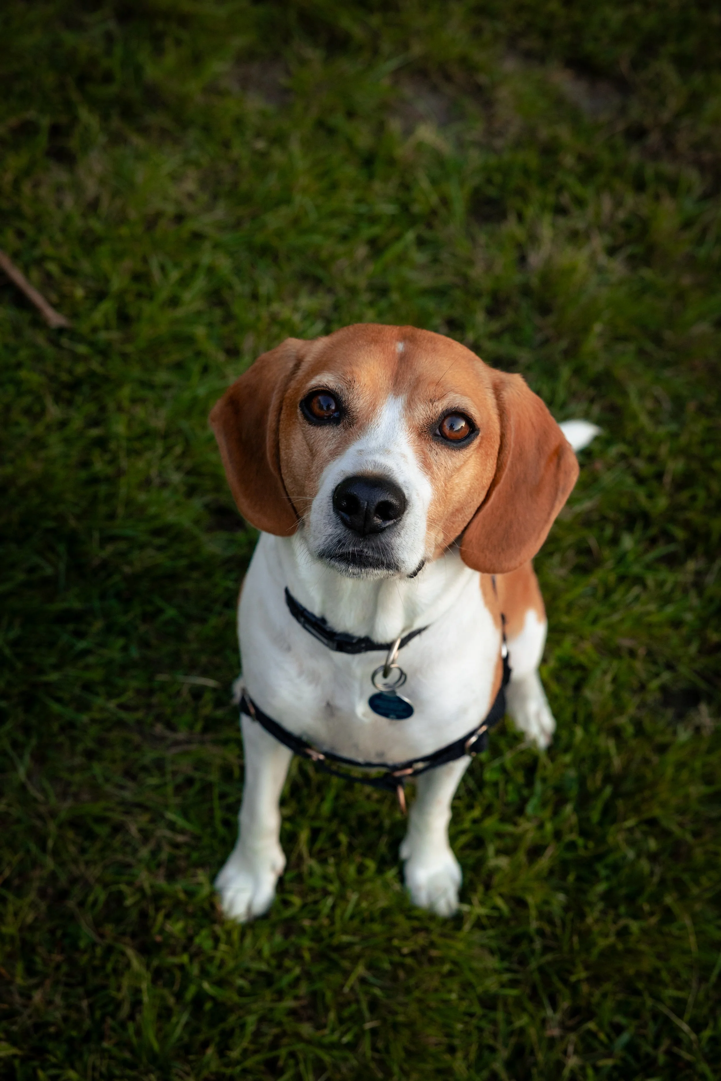 laura costa photography 44.JPG