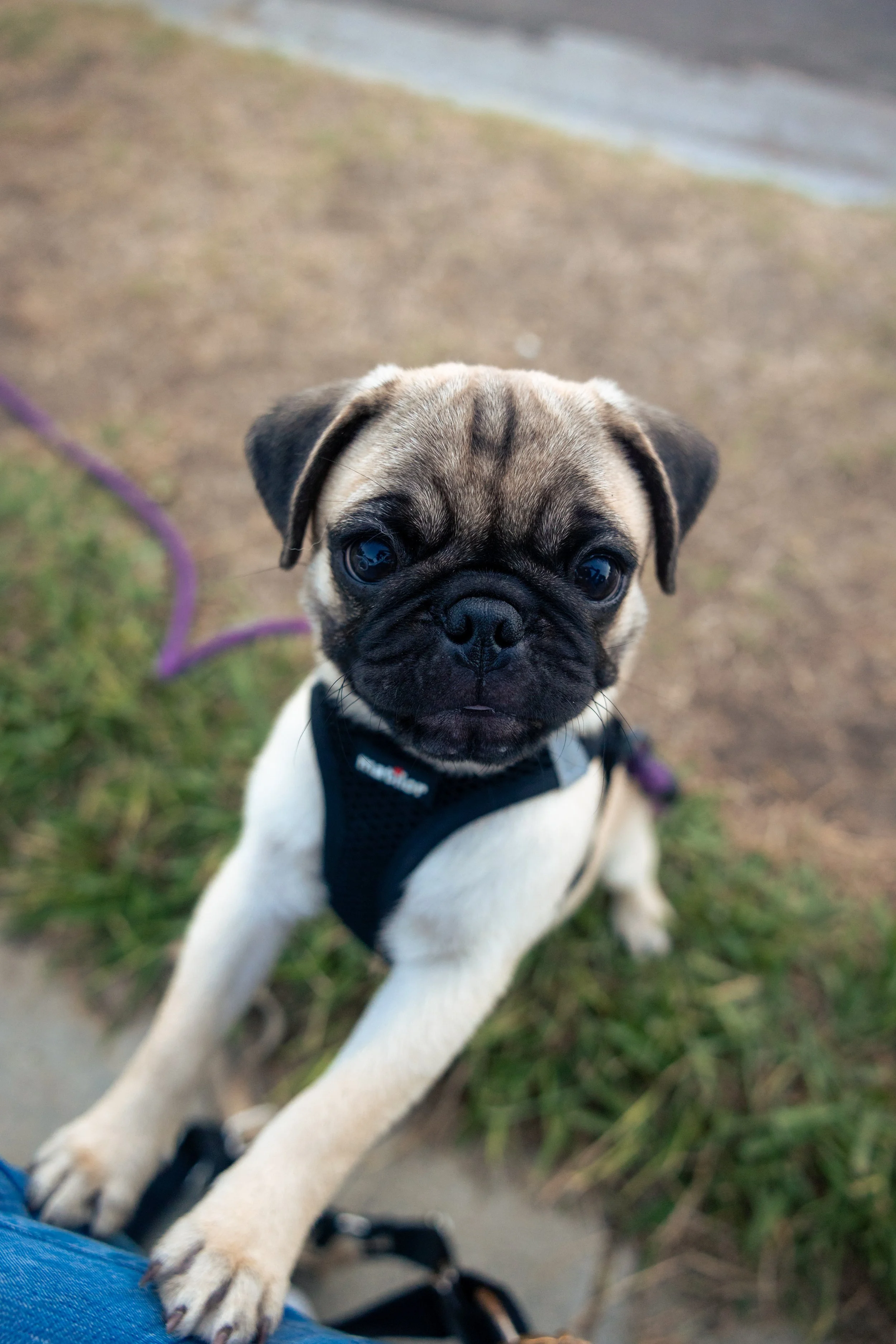 laura costa photography 48.JPG