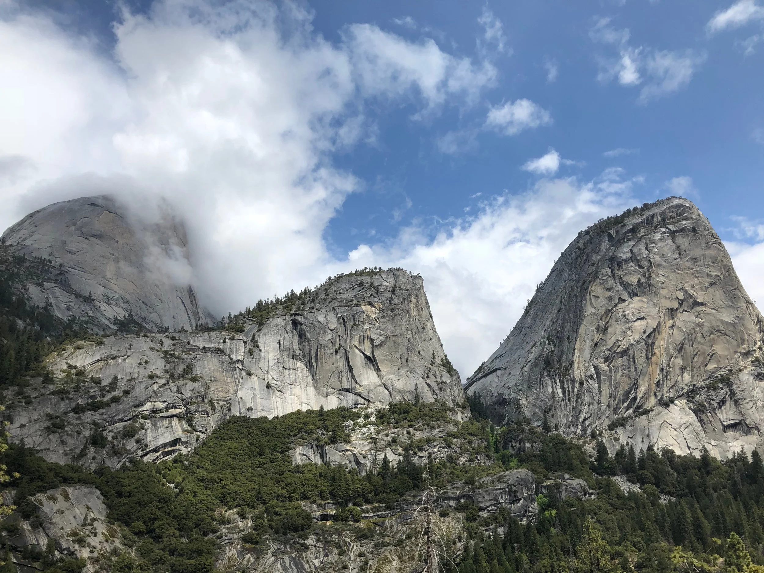 IMG_0552.jpeg
