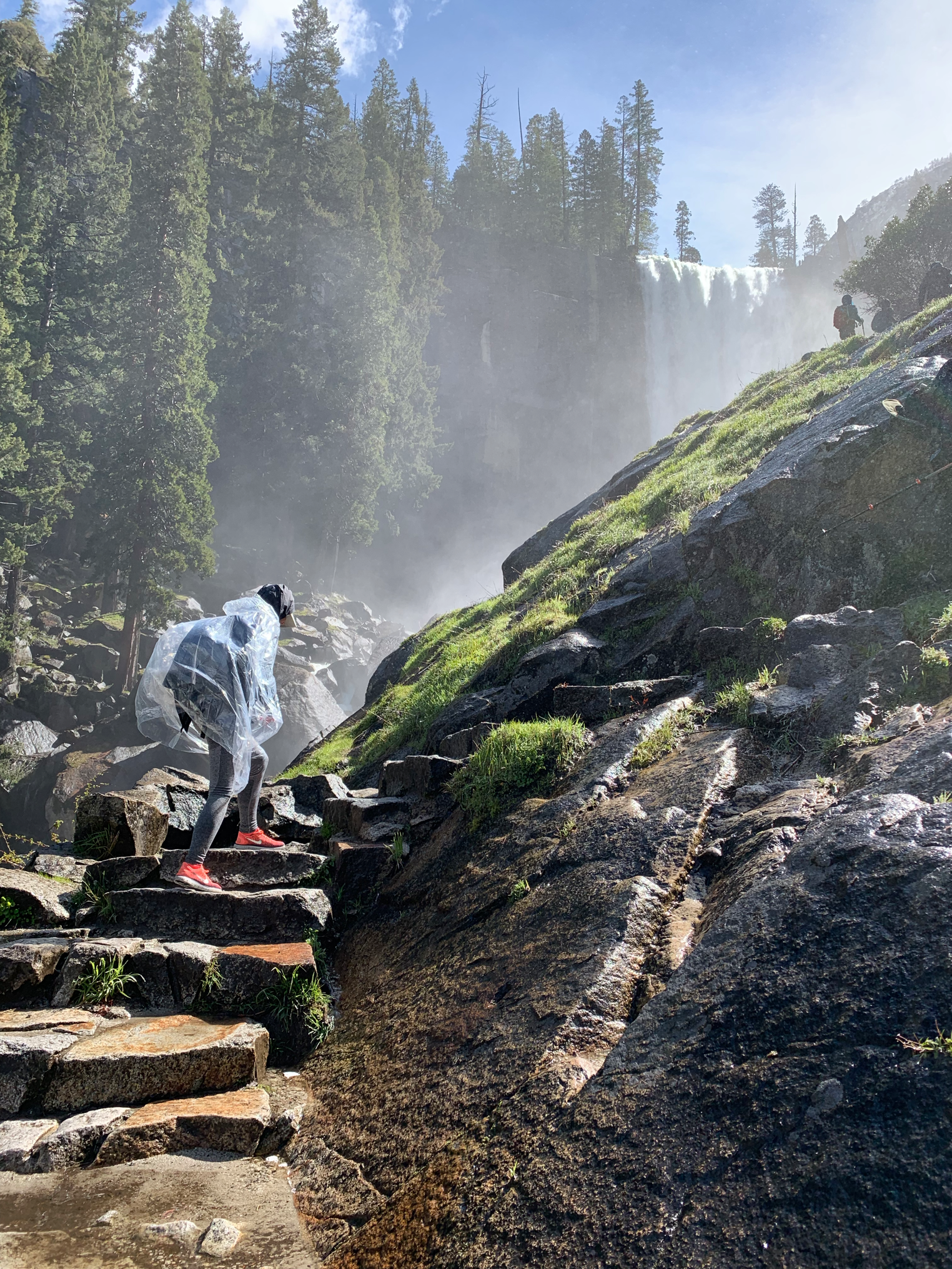 The Mist Trail
