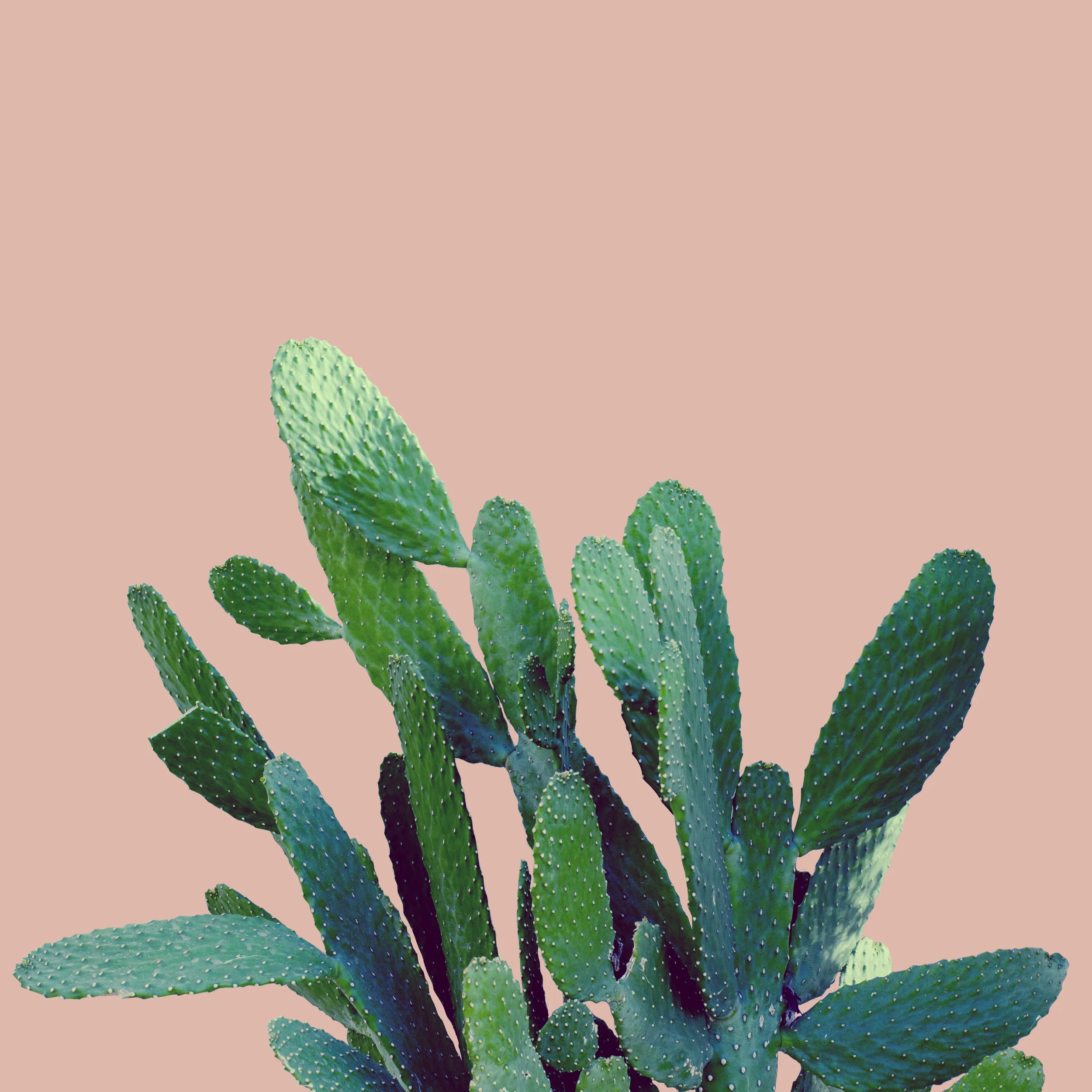 AdobeStock_251409987.jpeg