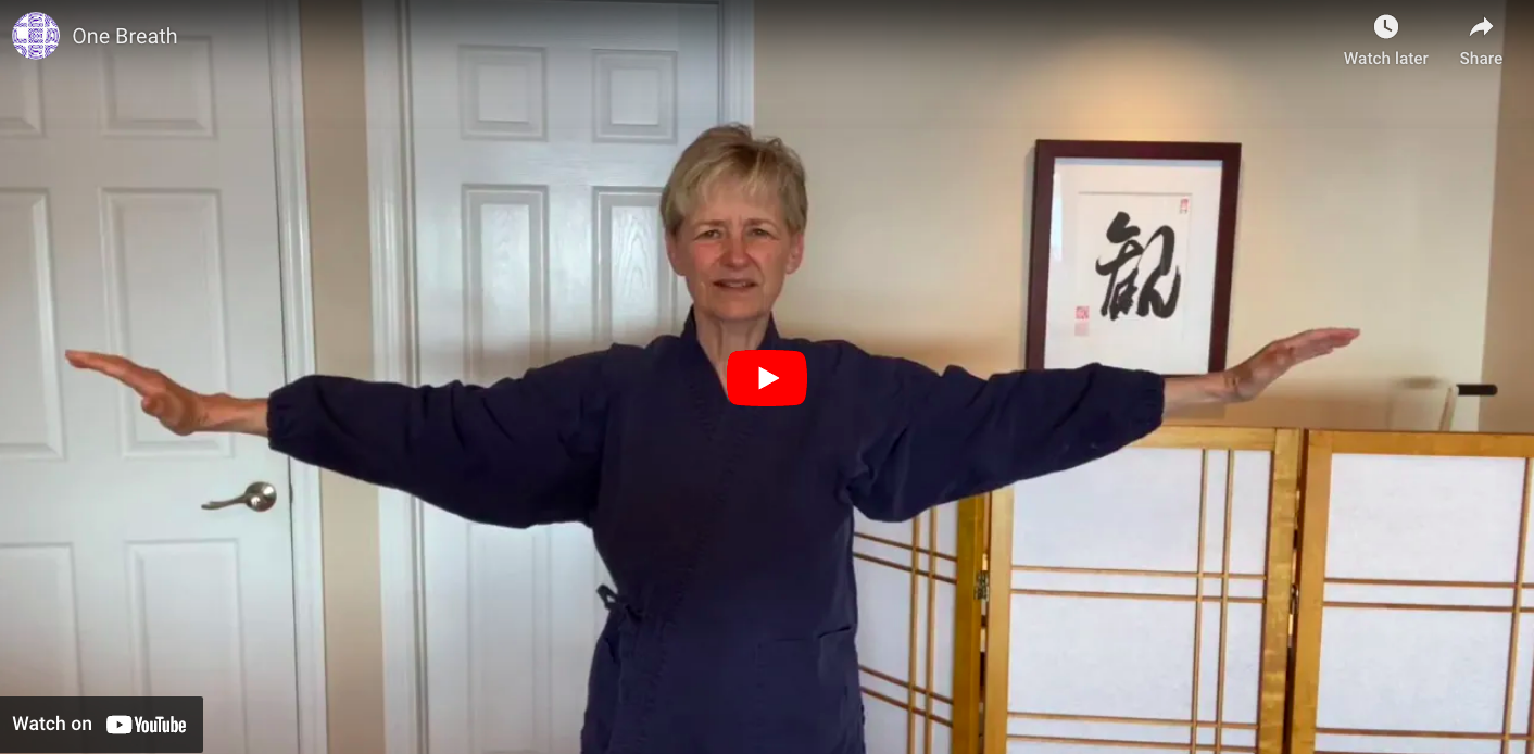 Hara Development Hara Breathing — Chosei Zen