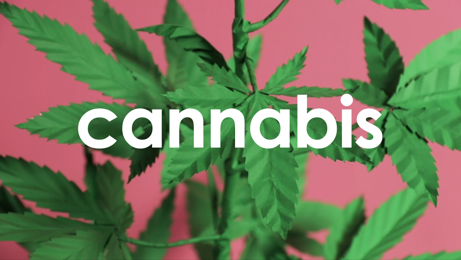 ANGELMANUK_2018_SHOULD-WE-USE-CANNABIS-TO-TREAT-EPILEPSY?.png
