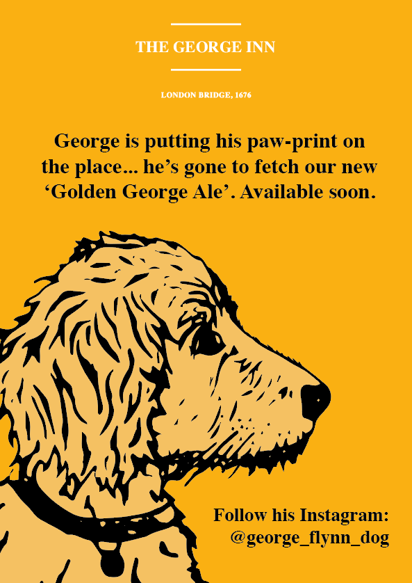 The George Inn, London Bridge has a new mascot. Introducing George, the Eng-a-poo (English Toy Spaniel crossed with a Poodle). The Golden George Ale is designed to get him front of house and help encourage customers to bring their dogs to the pub wi