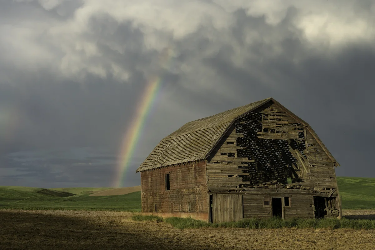 untitled (885 of 977).jpg