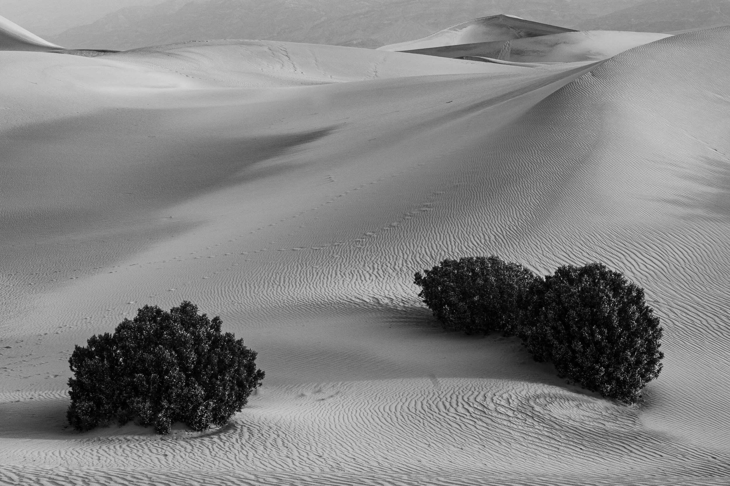 _DSC8035.jpg