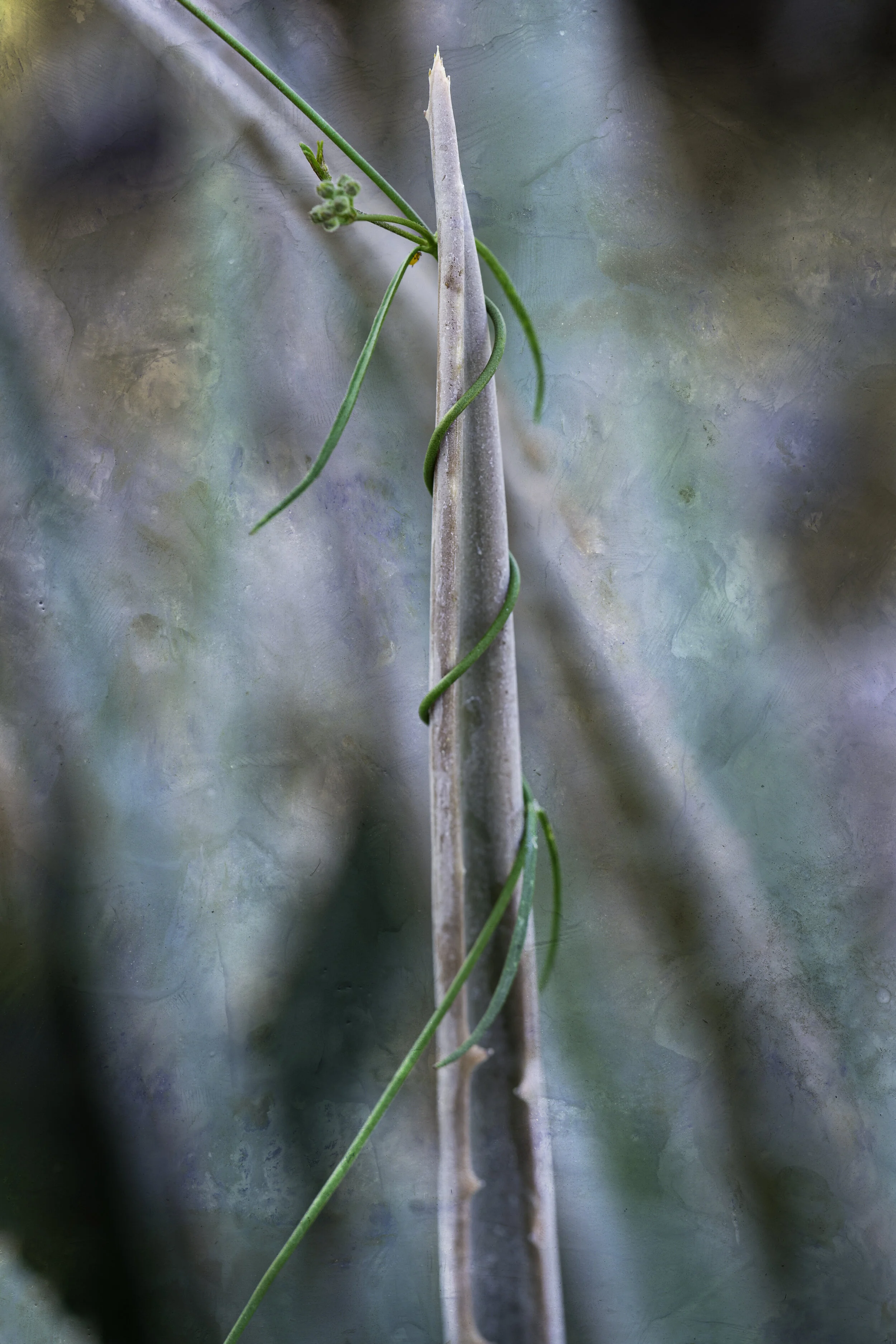 DSC03602-Edit.jpg