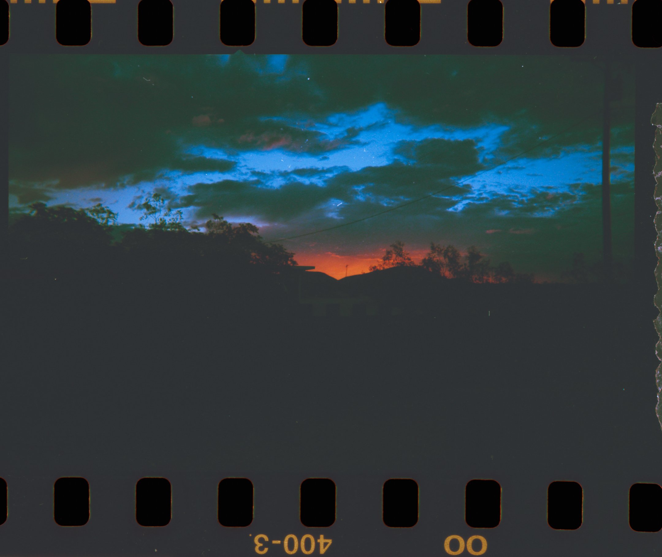 joshua tree | kodak funsaver