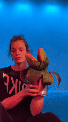 lsh1.gif