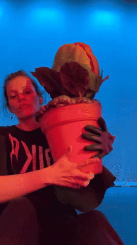 lsh2.gif