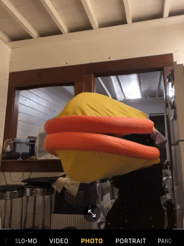 lsh5.gif