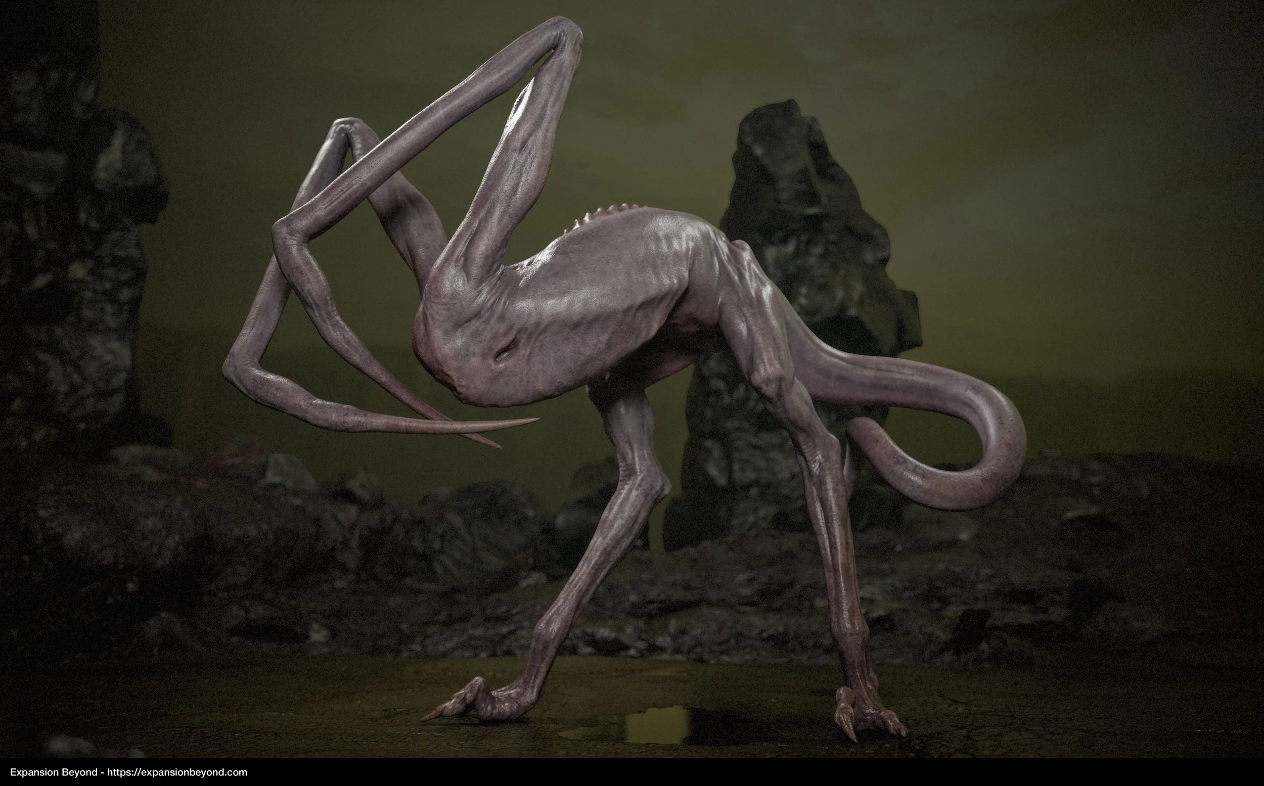 Mantis_01.jpg