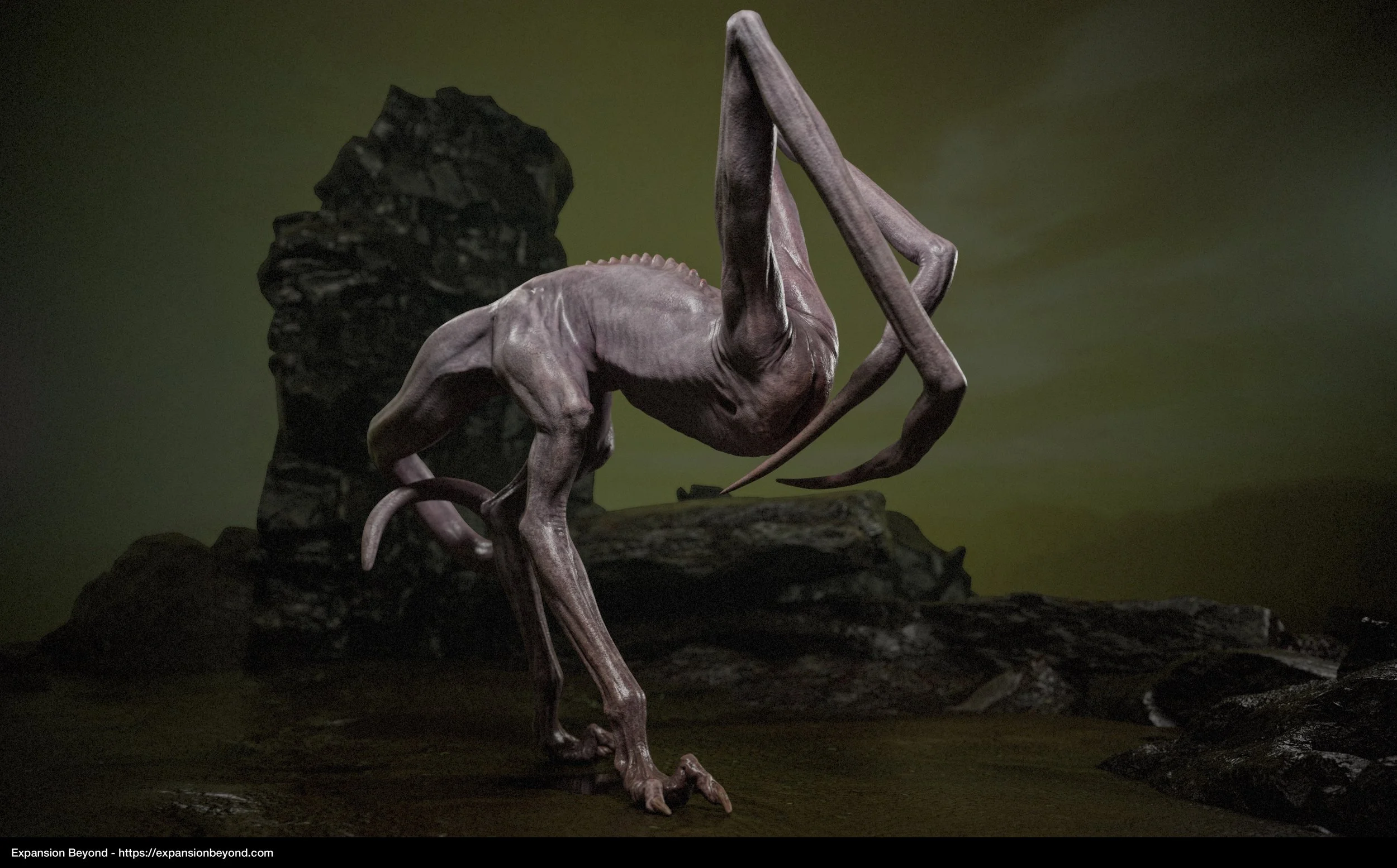 Mantis_02.jpg