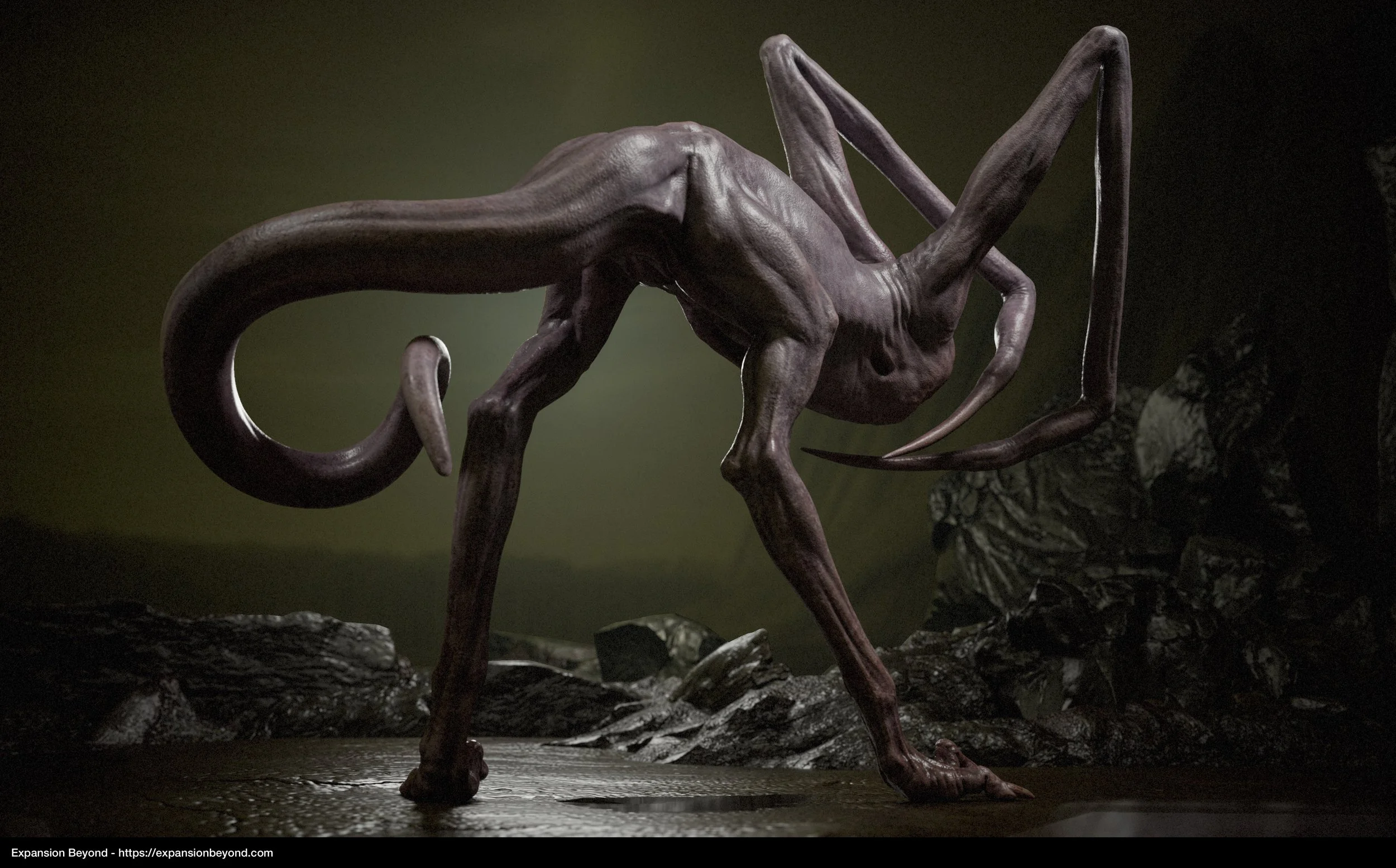 Mantis_03.jpg