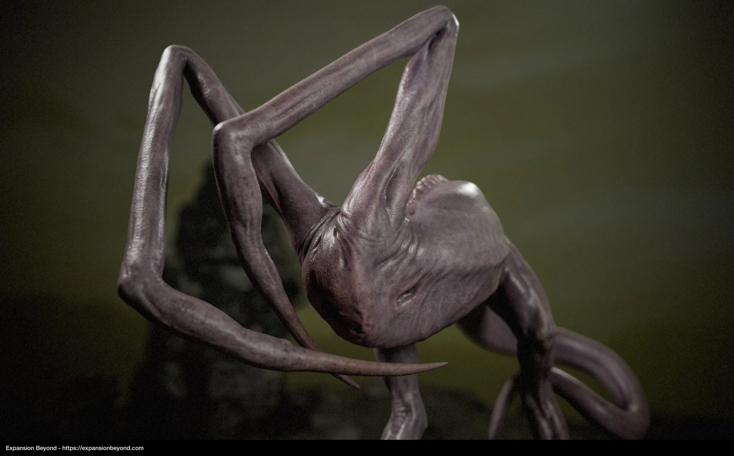 Mantis_04.jpg