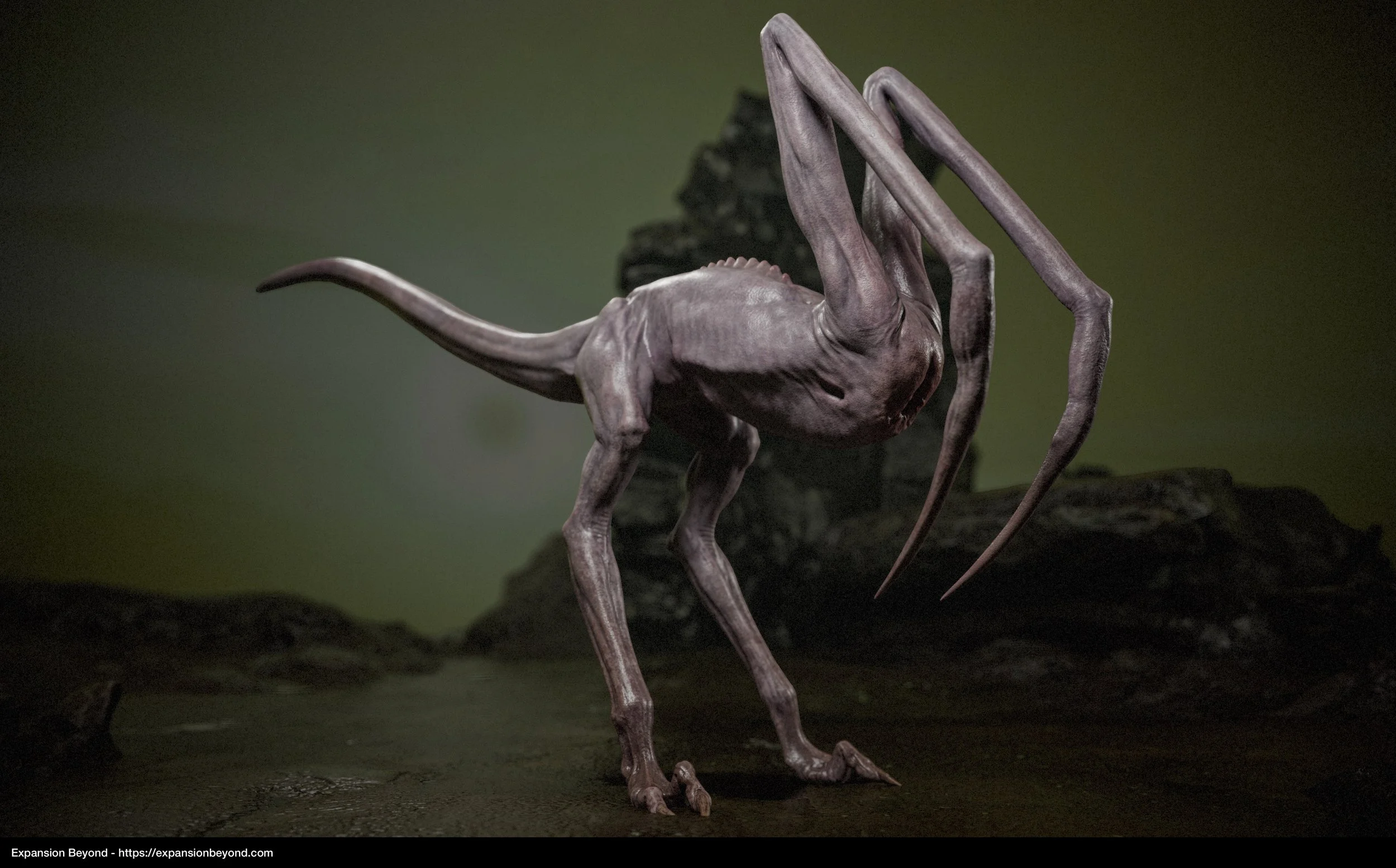 Mantis_06.jpg