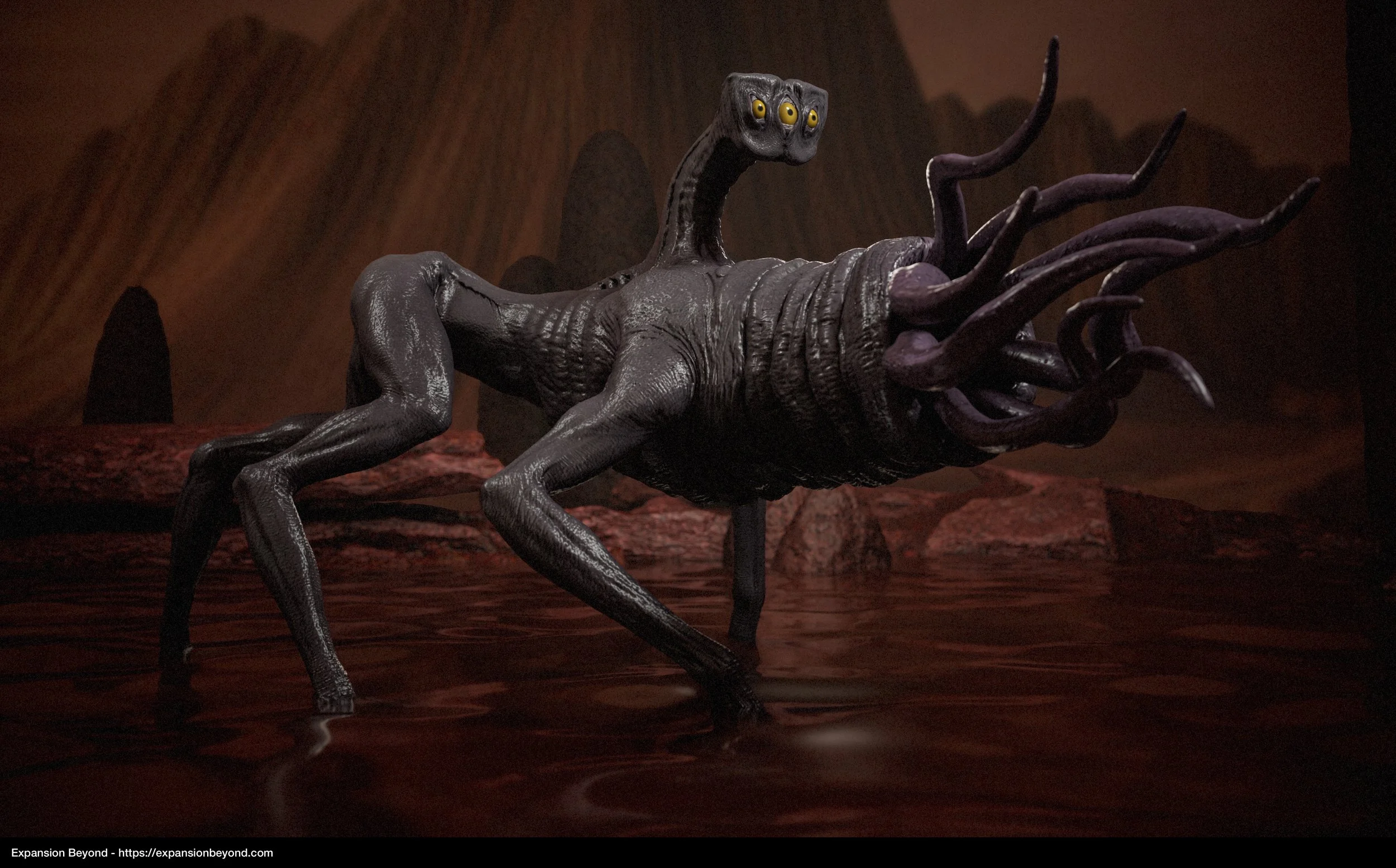 Squid_01.jpg