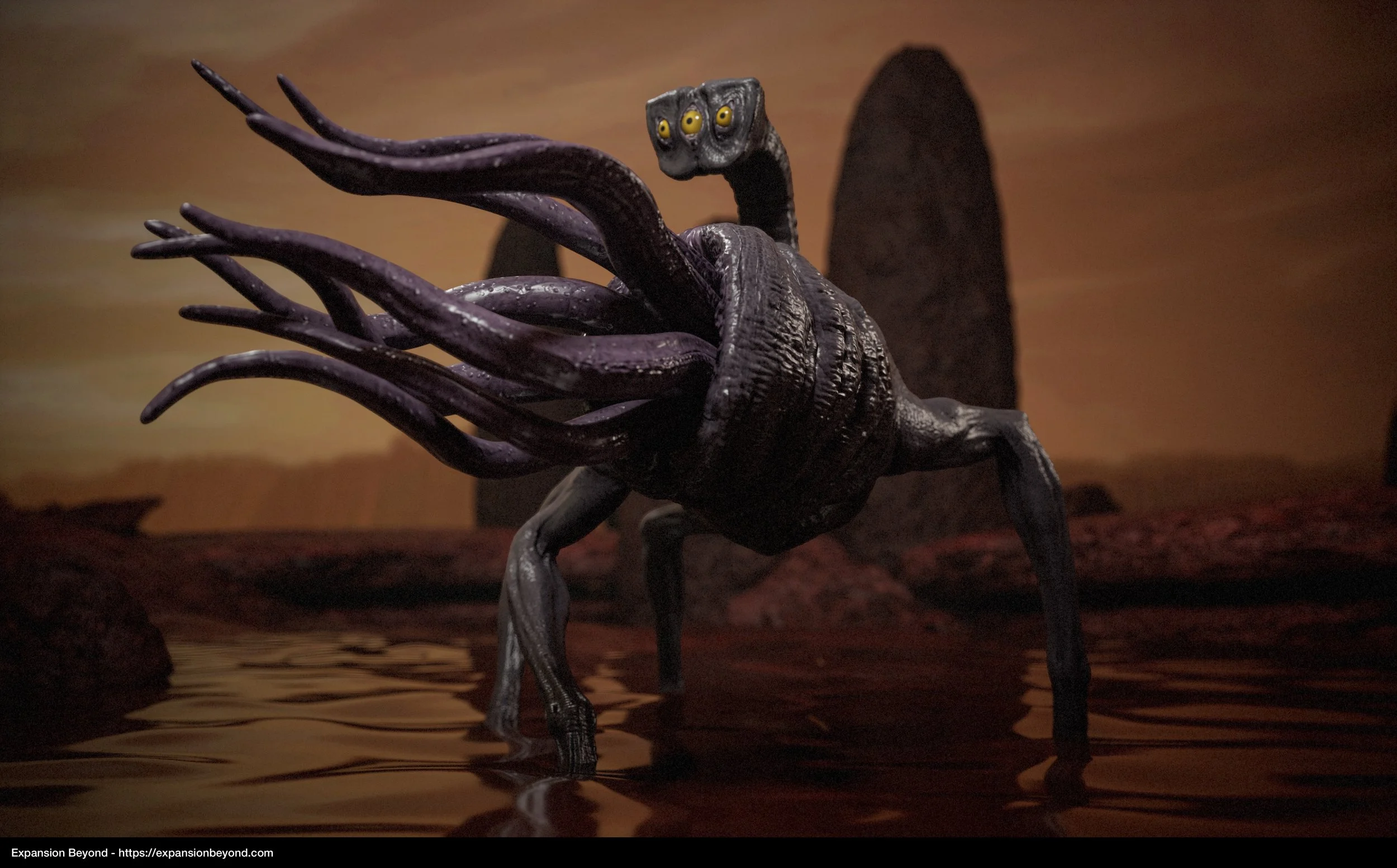 Squid_02.jpg