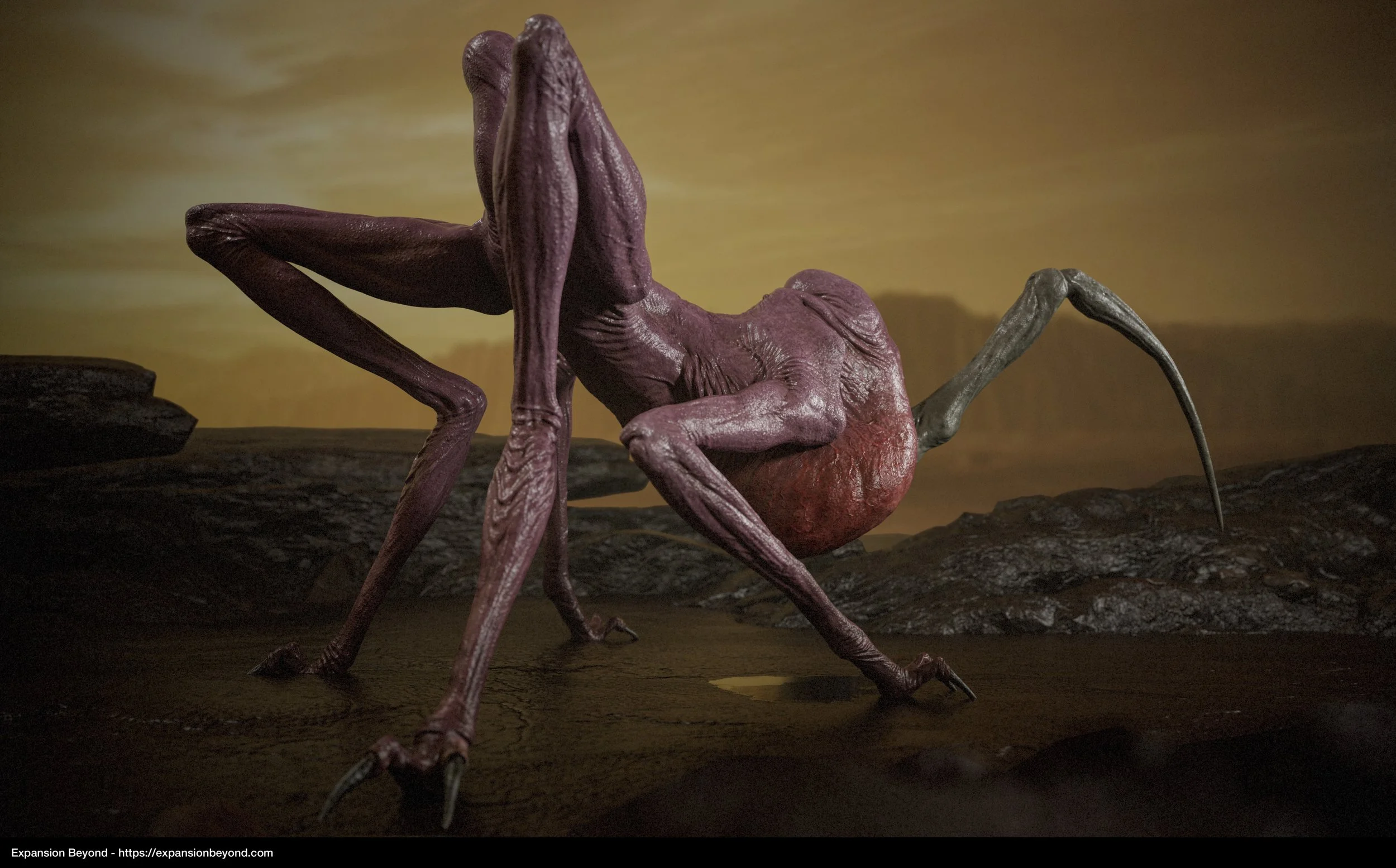 Leech_04.jpg