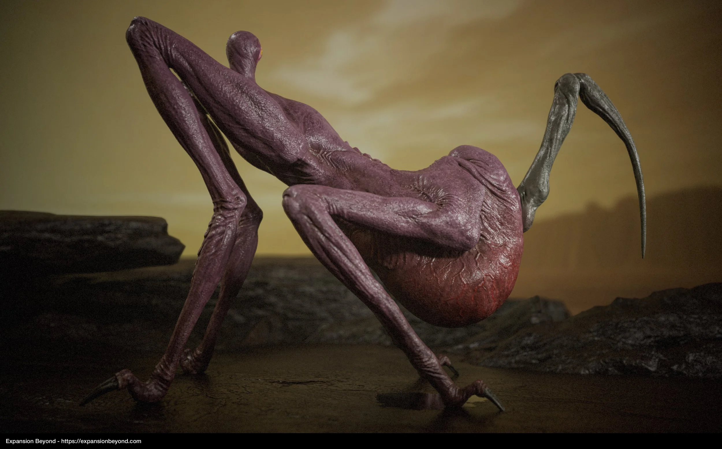 Leech_05.jpg