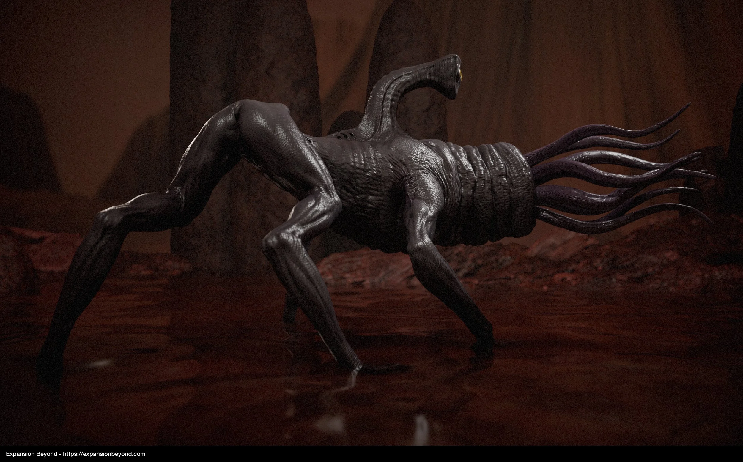 2-Squid_03.jpg