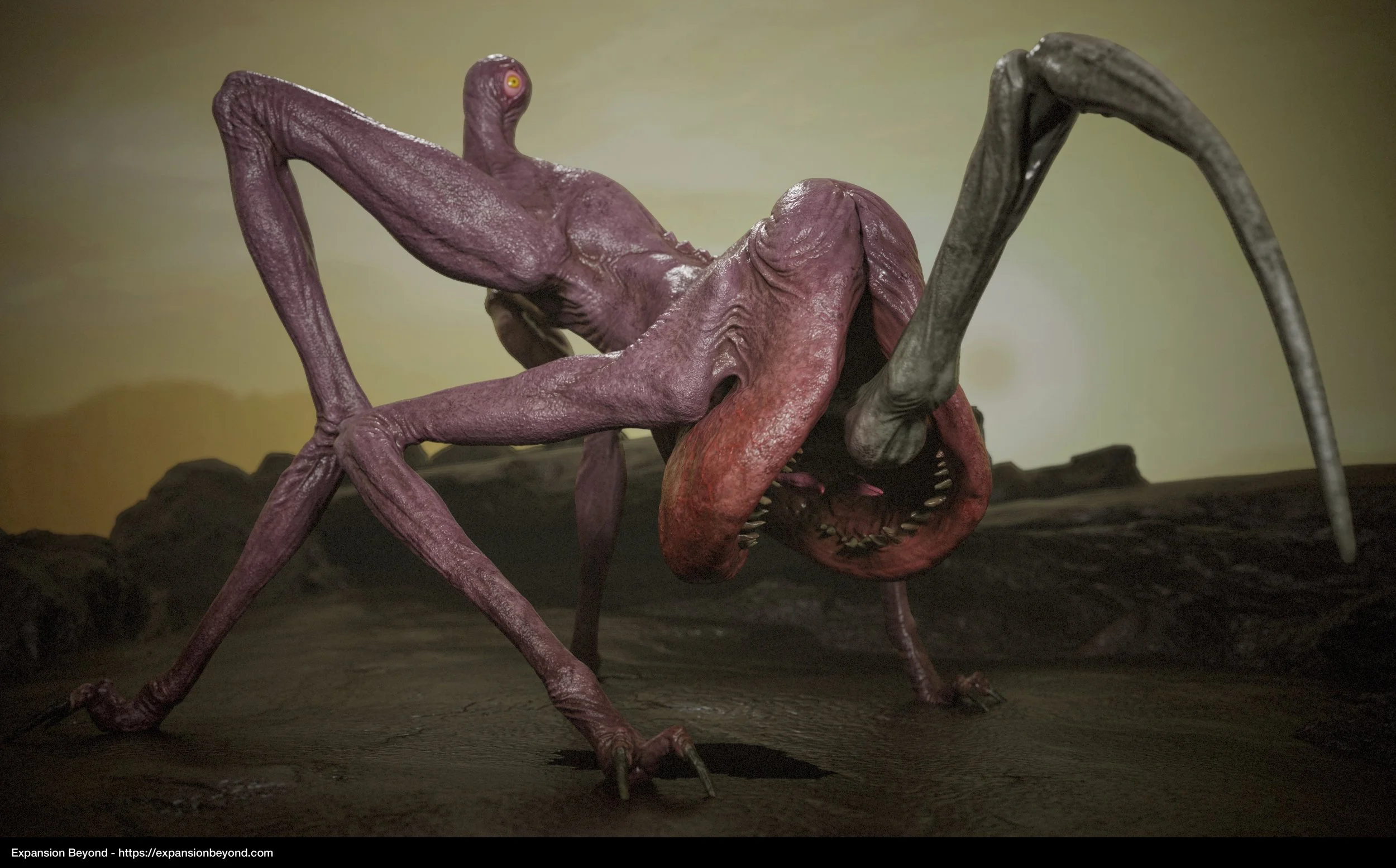 6-Leech_03.jpg