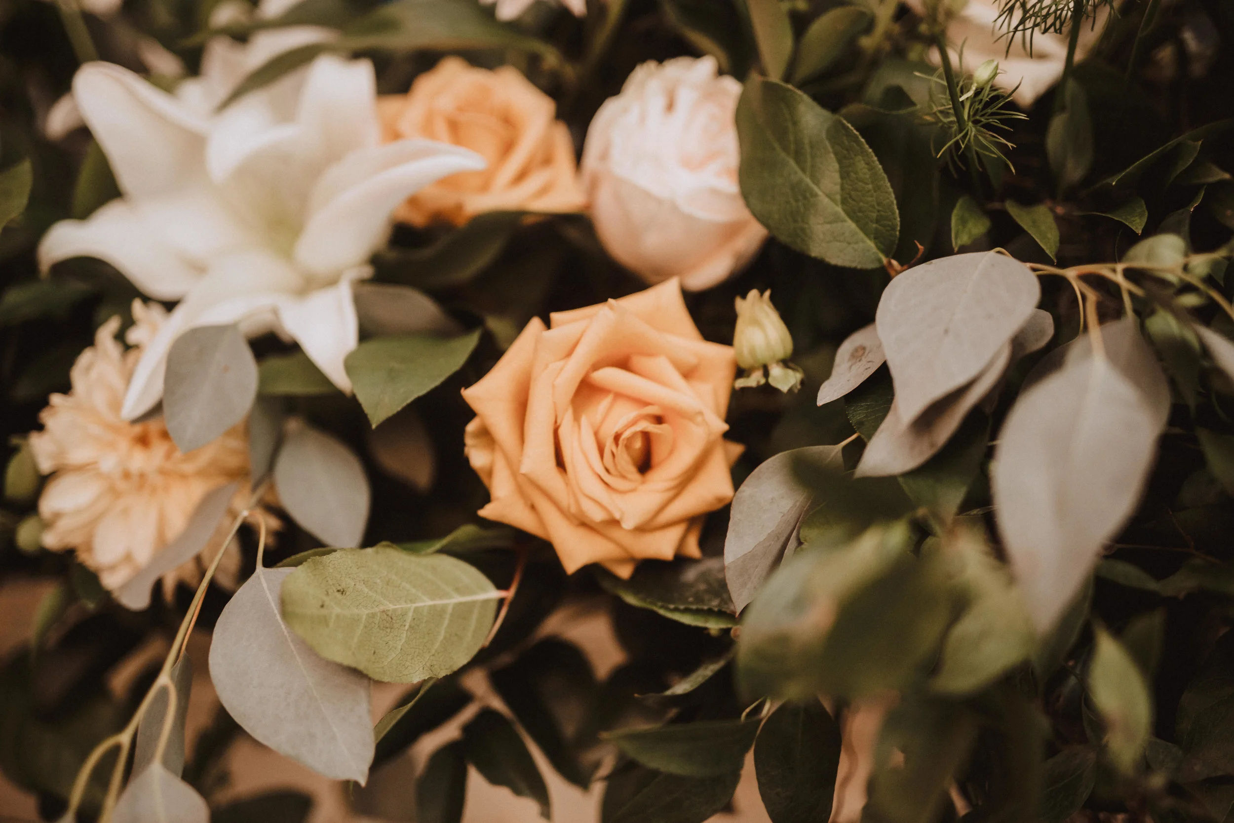 BHUNTERco_Weddings_2018_Stephen_Damany_131.jpg