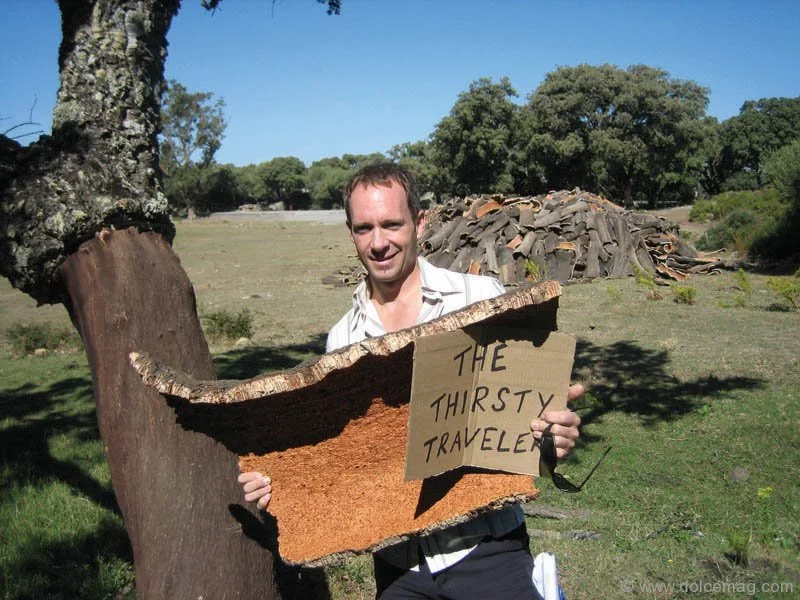mark-brauch-gallery.jpg