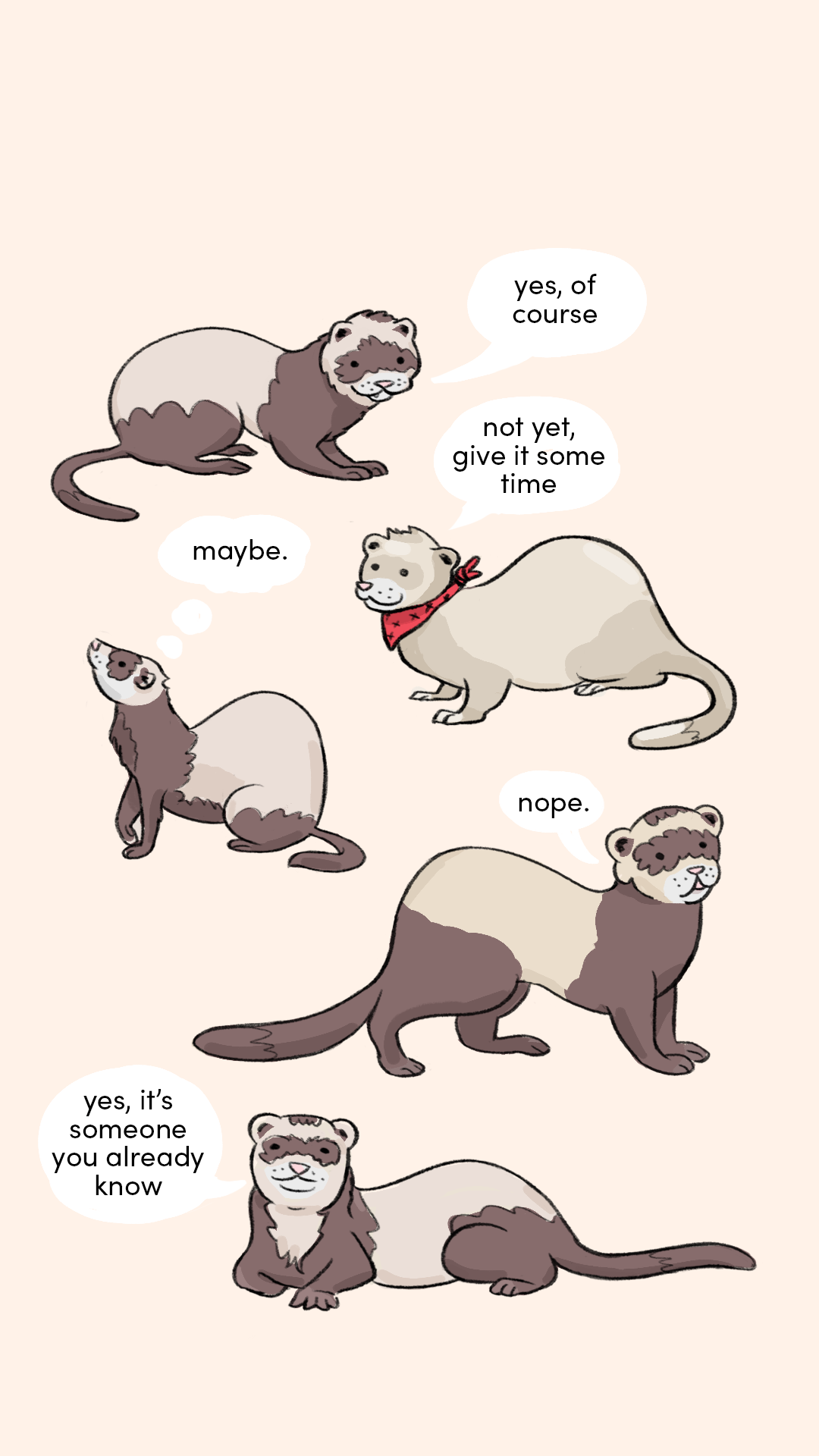 choose a ferret 2.png