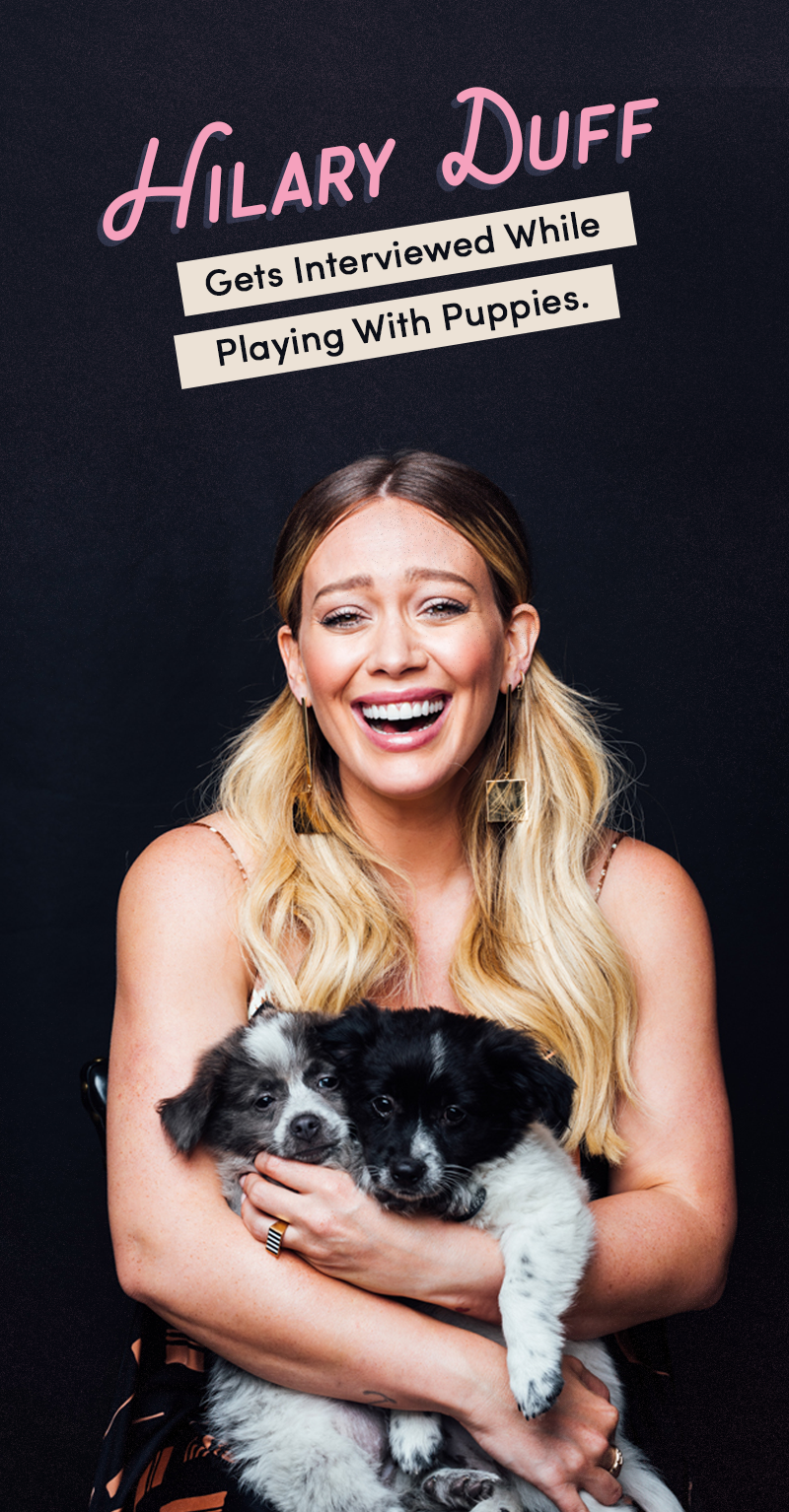 hilary duff puppies final.png