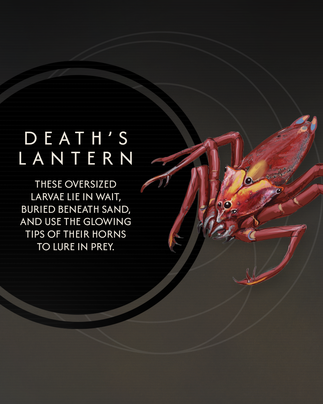 Fauna_1080x1350_slide6.png