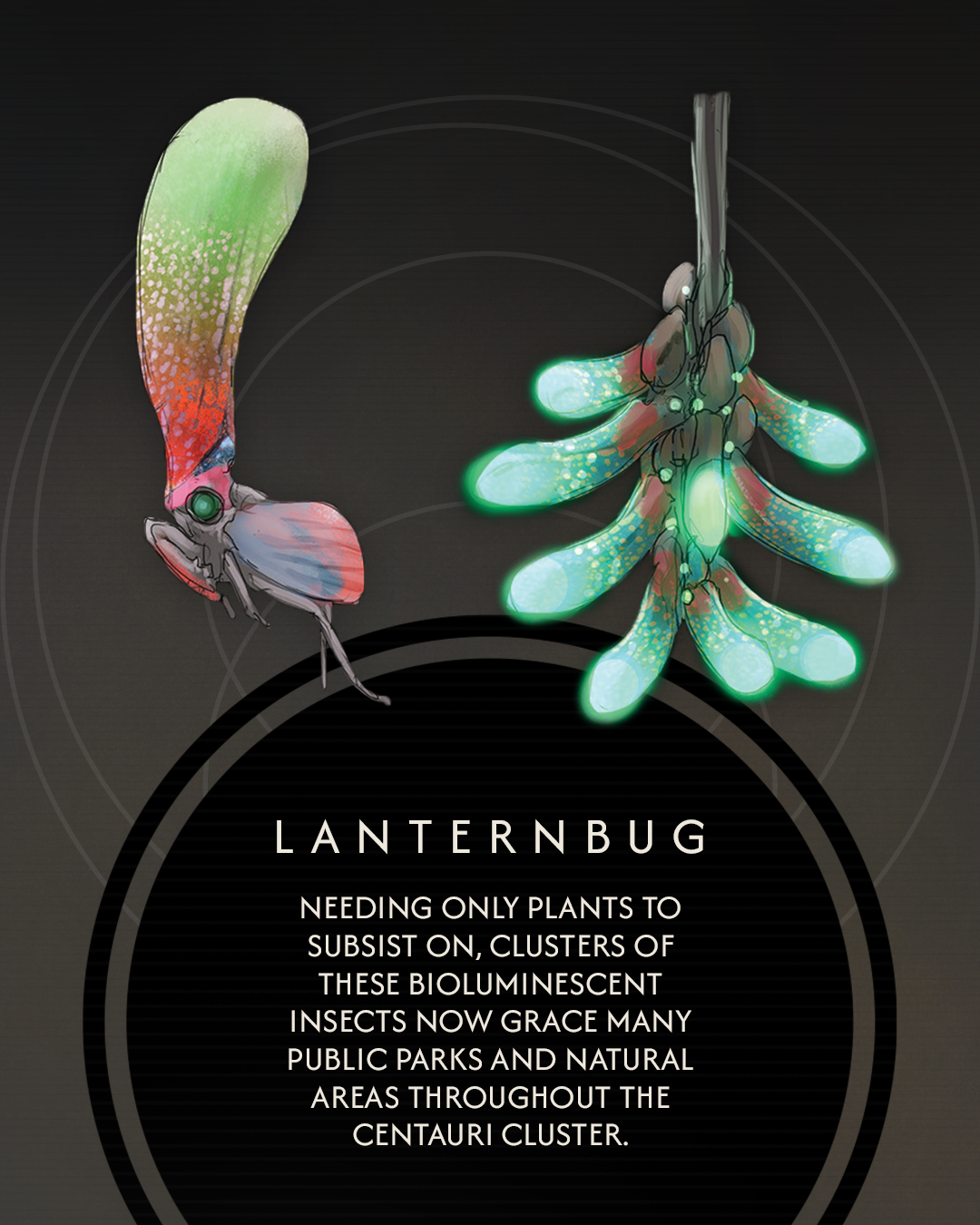 Fauna_1080x1350_slide3.png