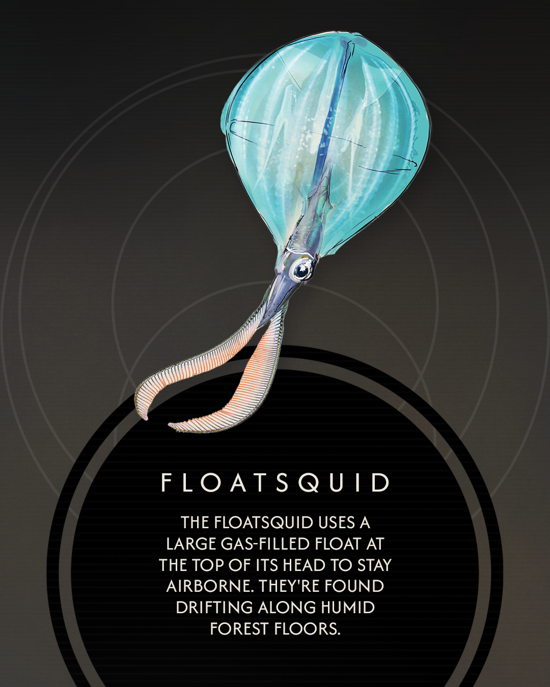 Fauna_1080x1350_slide7.png