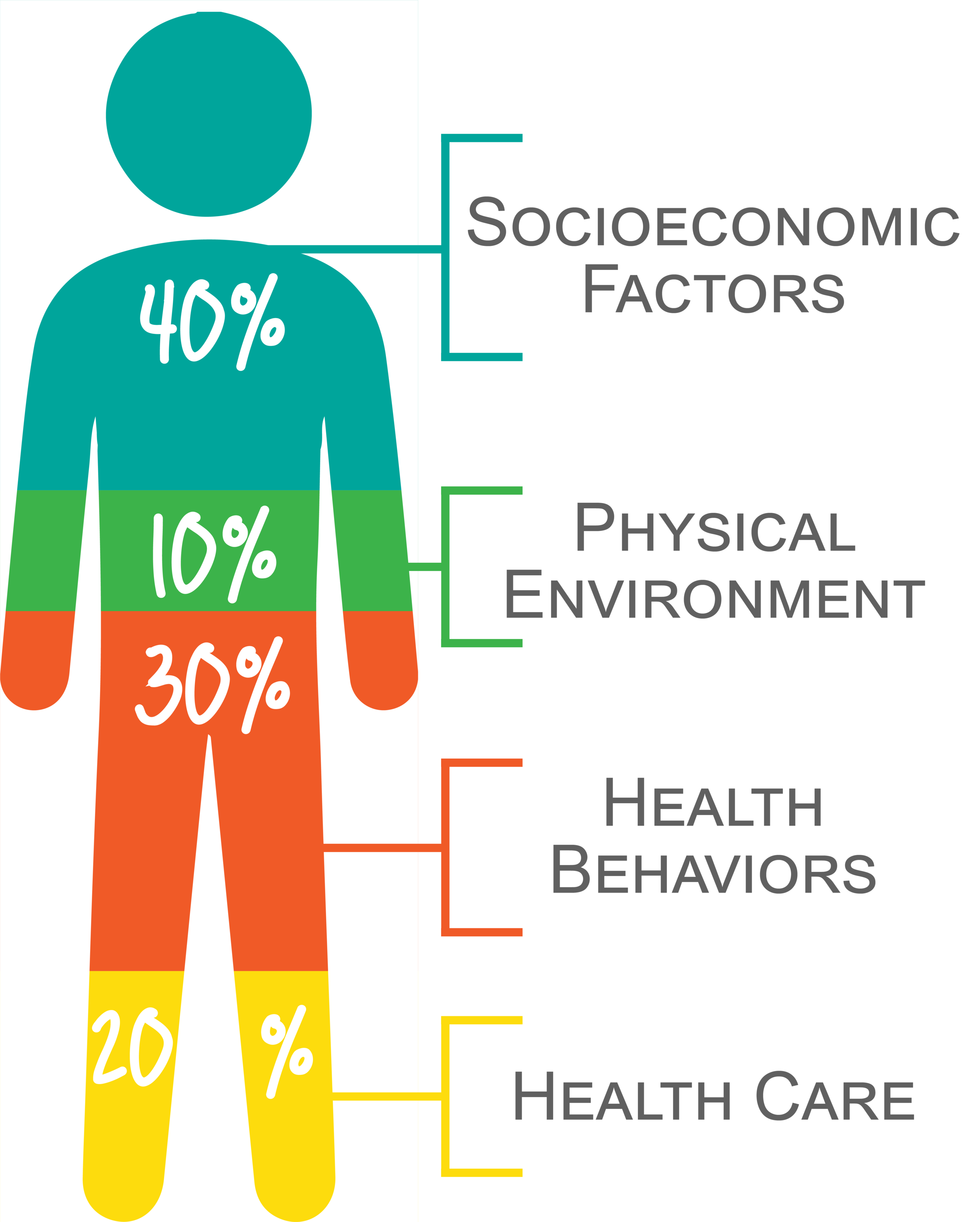 SDoH1@4x.png