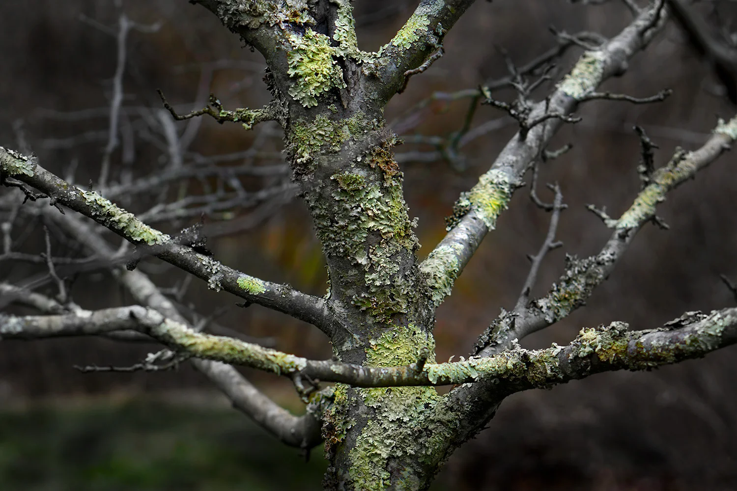 _DSC9214aaa sqsp a.jpg