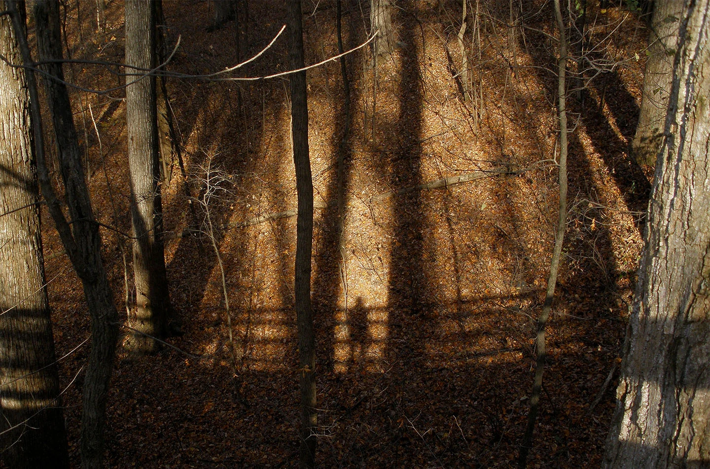 PB140059 sqsp more vib for slideshow.jpg