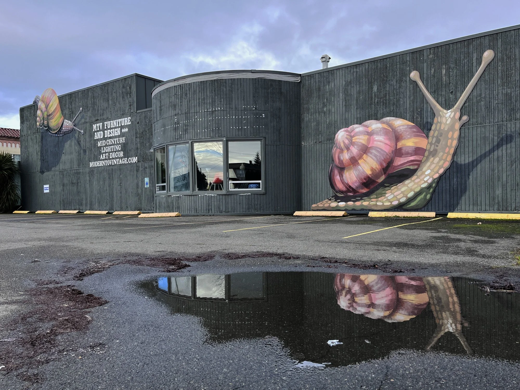 snails-5.jpg