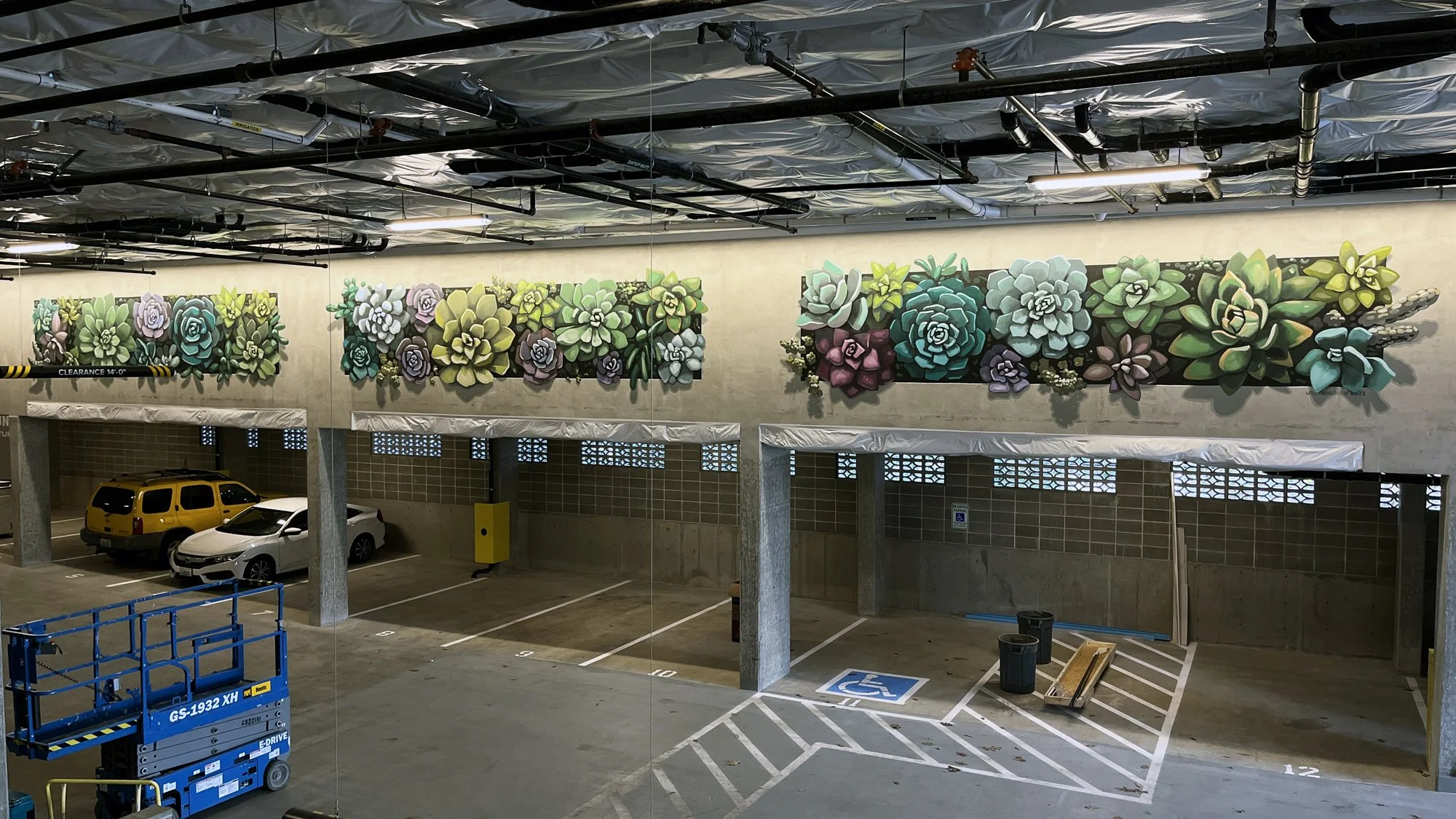 succulents-1.jpg