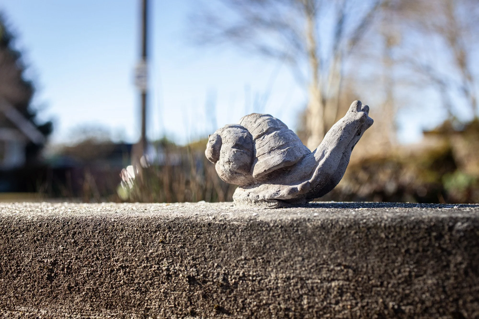 snail2.jpg