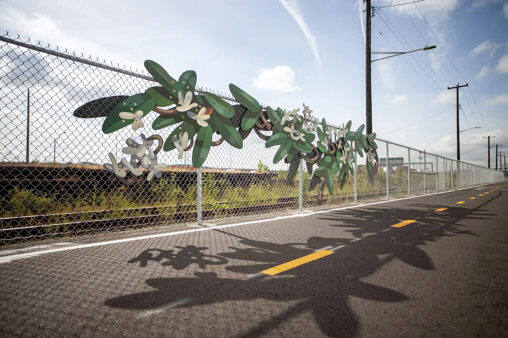 fence-1.jpg