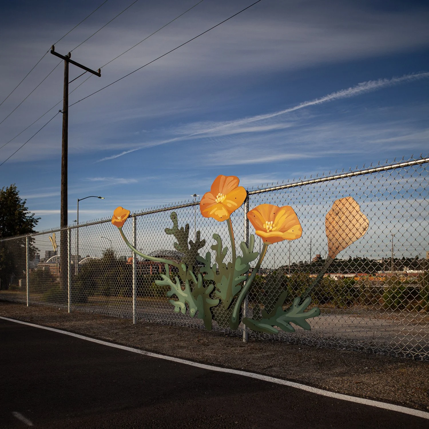 fence-8.jpg