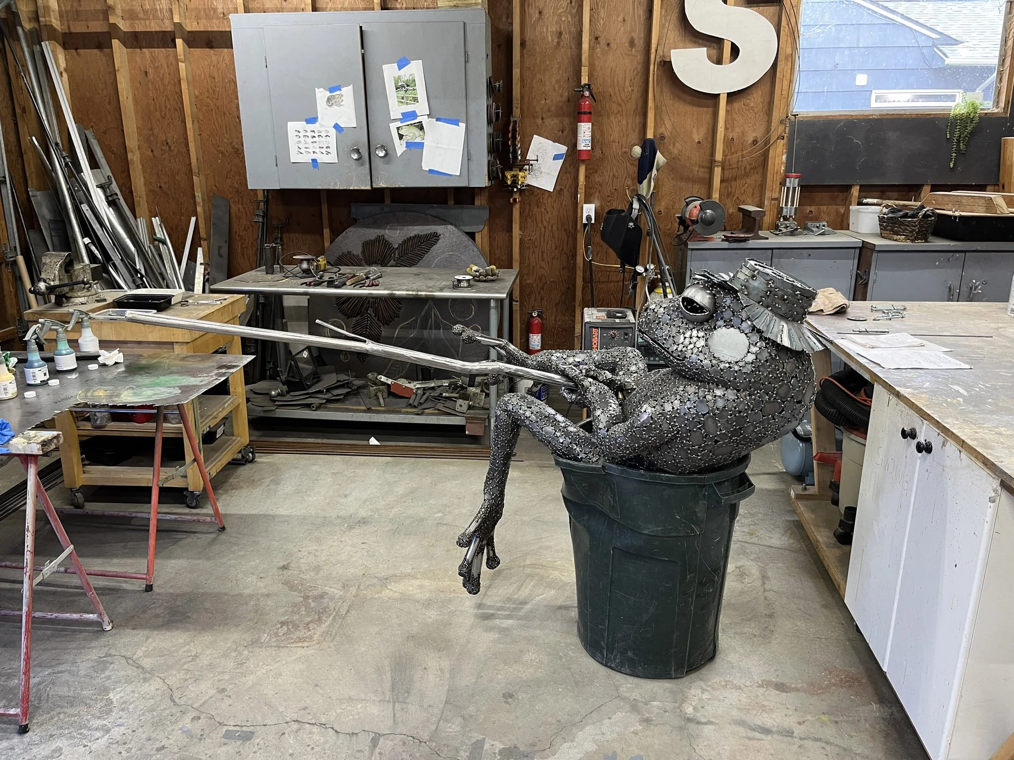frog-6.jpg