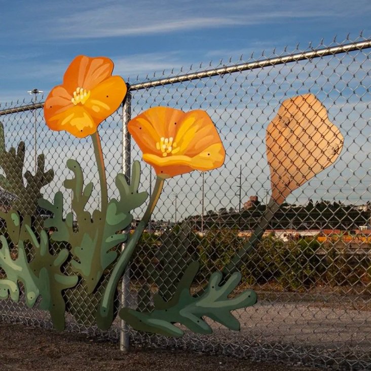 fence-8.jpg